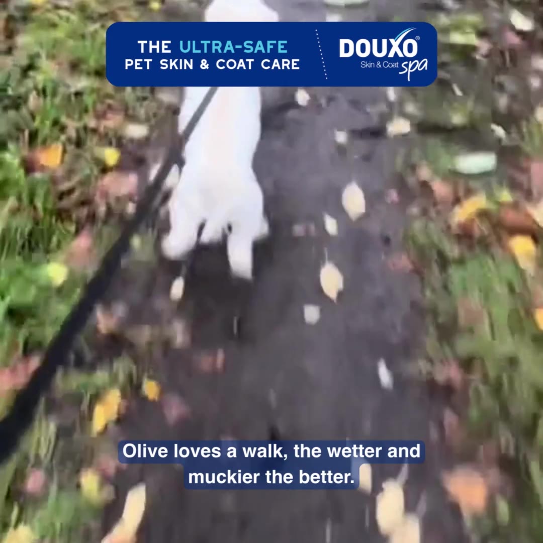 DOUXO Facebook ad from Jun 9, 2026
