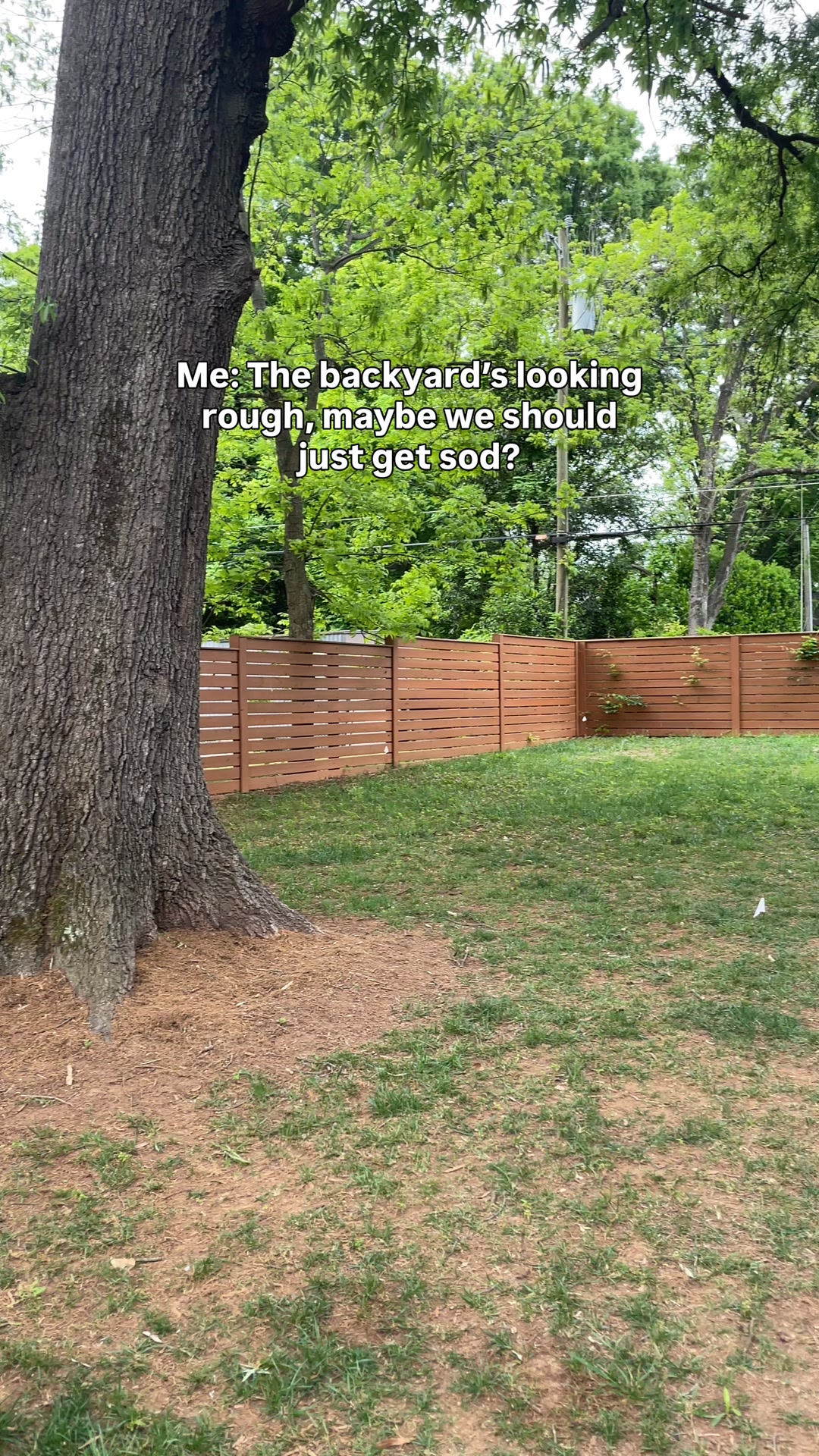 Growtrax Facebook ad: Get A Lush Green lawn that's the envy of your neighbors!