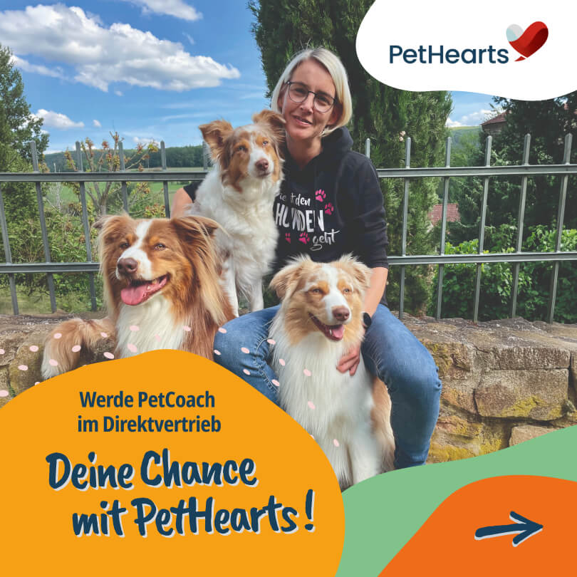 PetHearts Facebook ad