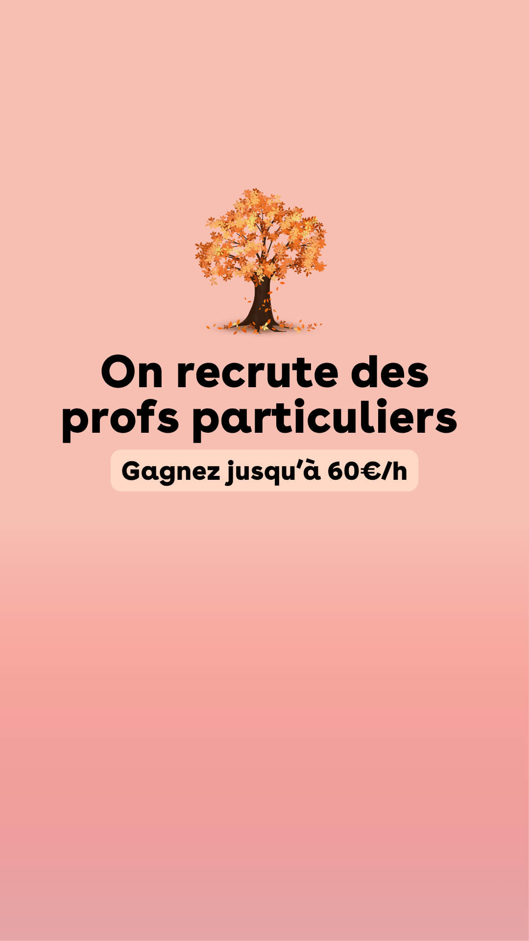 Sophie Superprof - FR Facebook ad: Profitez de votre temps libre & gagnez plus d'argent!