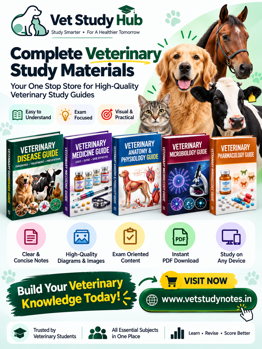 veterinary medicine knowledge Facebook ad: Veterinary Study Guides, All in One Place