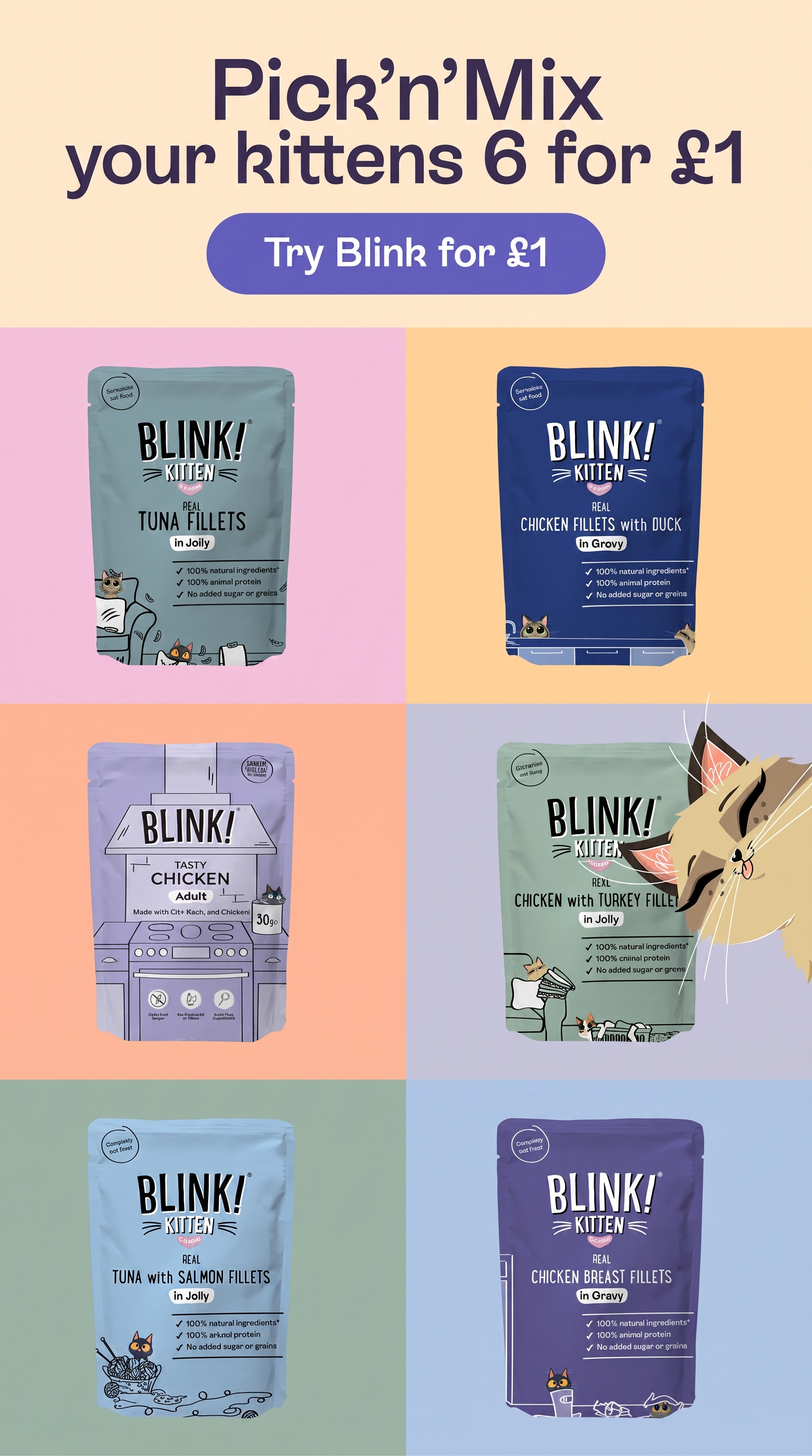 Blink Cat Food Facebook ad: Pick & Mix Any 6 Recipes For Only £1