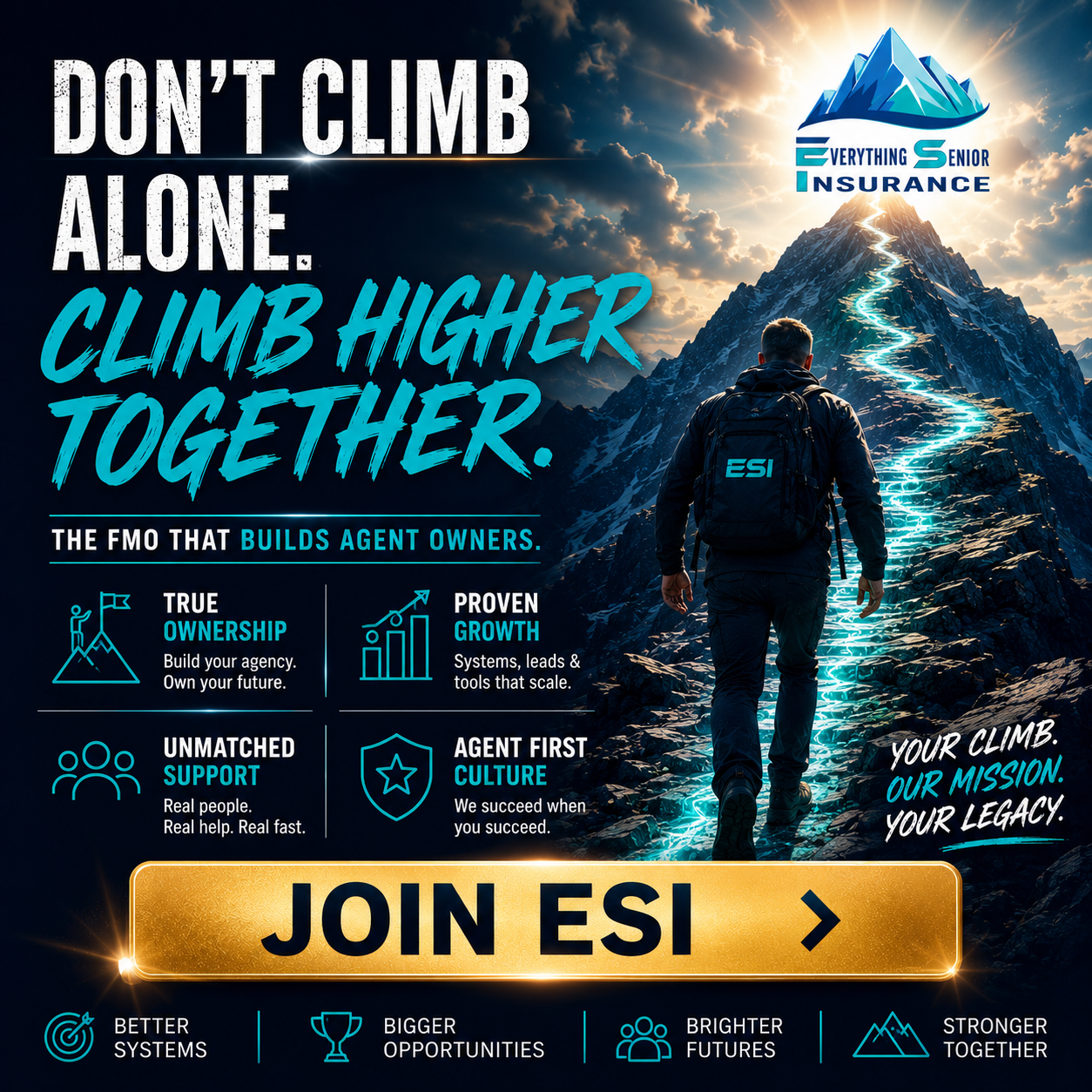 Everything Senior Insurance Facebook ad