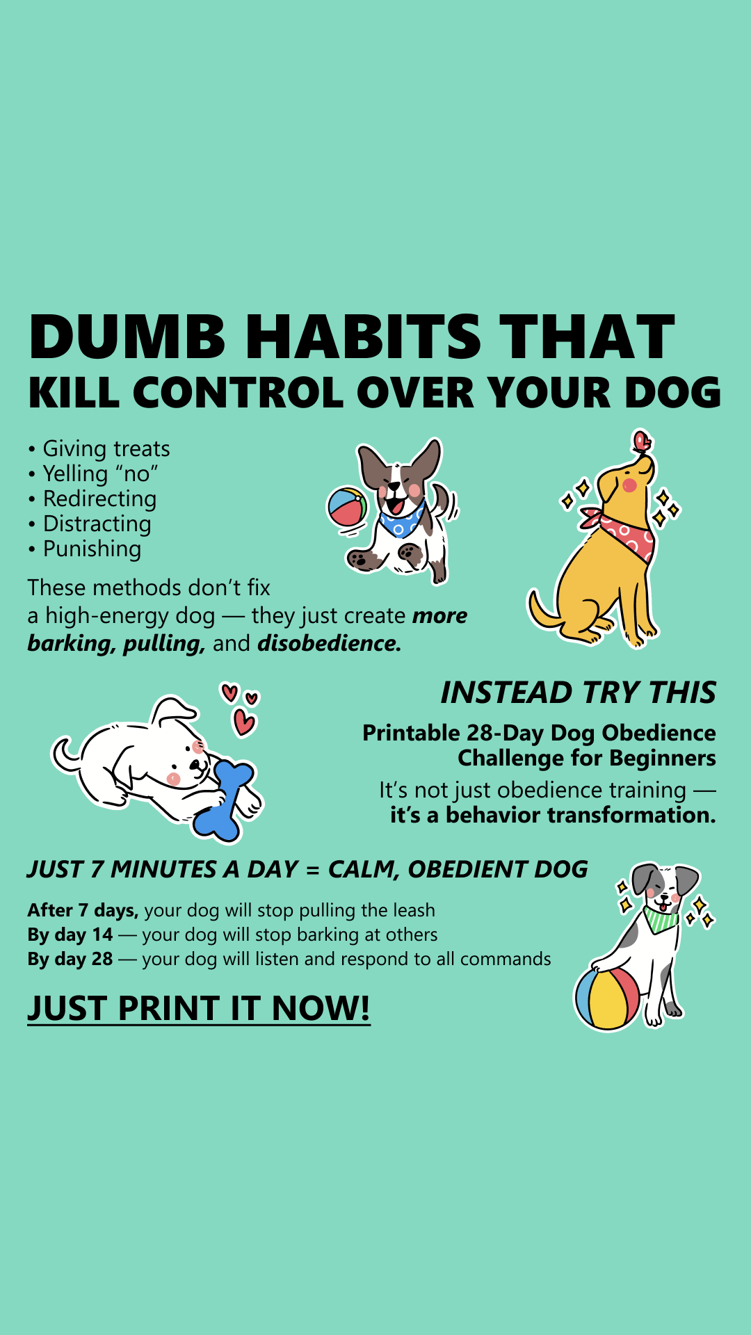 28 Day Dog Obedience Challenge Facebook ad