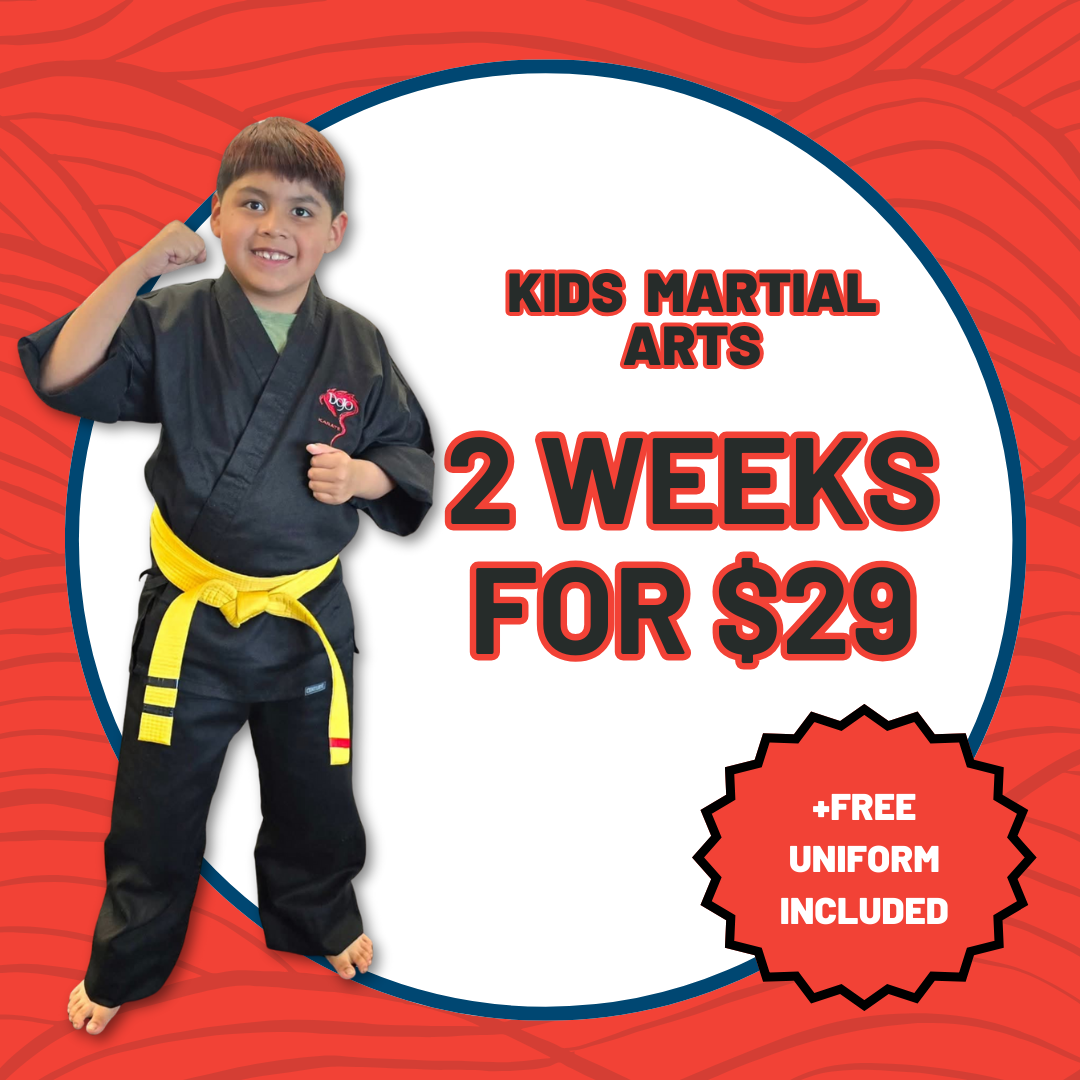 Dojo Karate Eden Prairie  Facebook ad