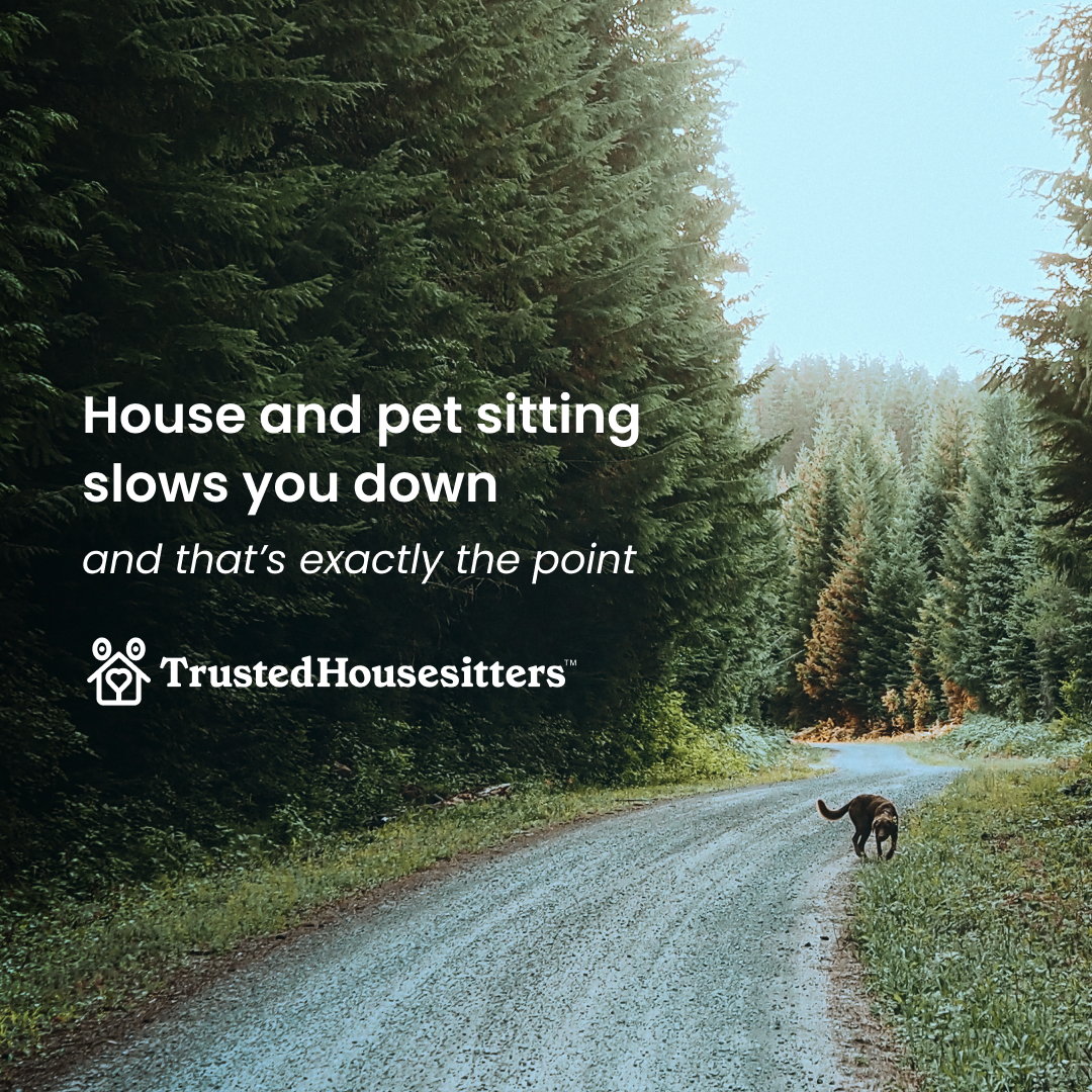 TrustedHousesitters Facebook ad: Travel through house and pet sitting