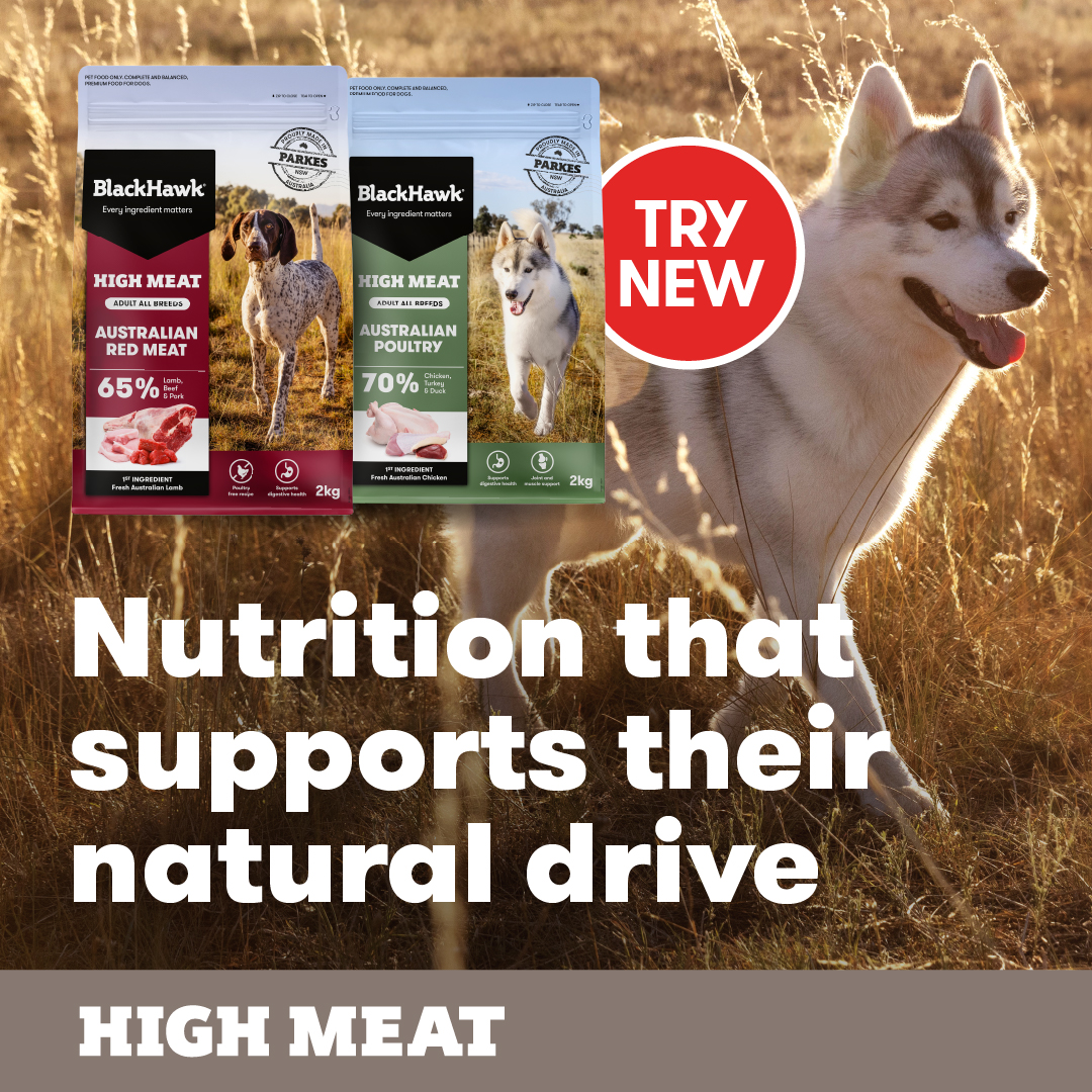 Black Hawk Pet Care New Zealand Facebook ad: Made with fresh Australian meat, Black Hawk High…