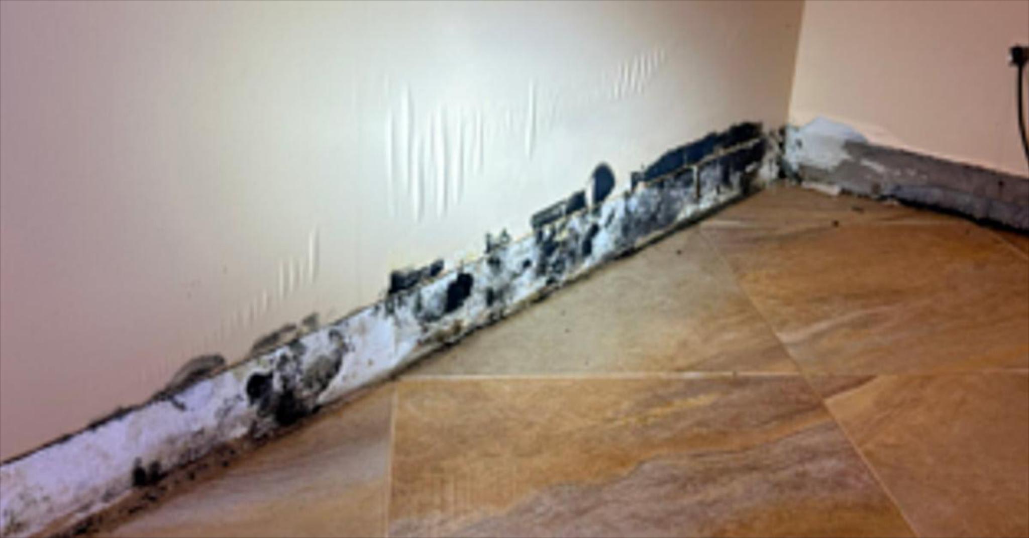 Alpha Mold Inspectors Facebook ad: Reach Out To Us Today