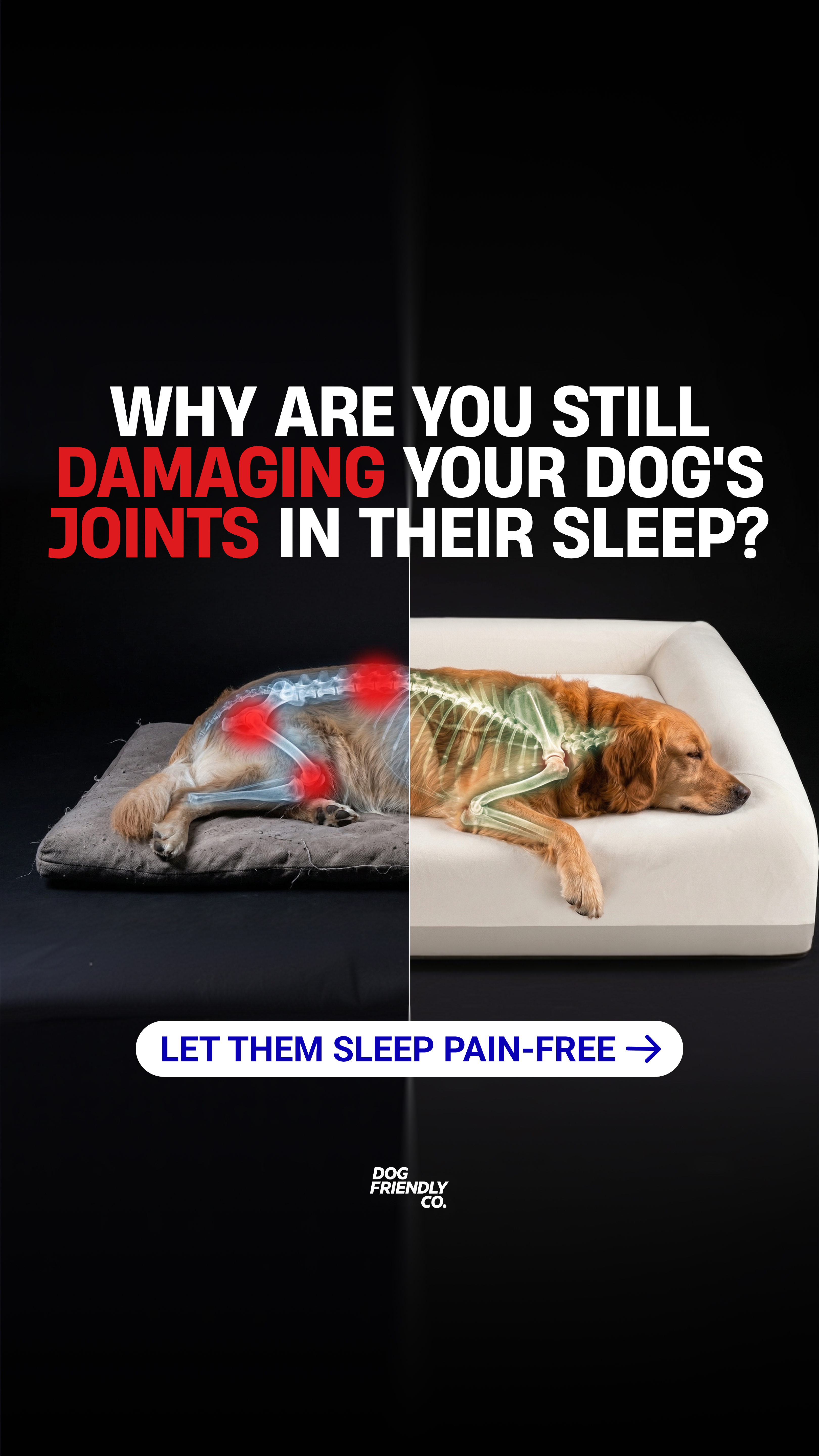Dog Friendly Co. Facebook ad