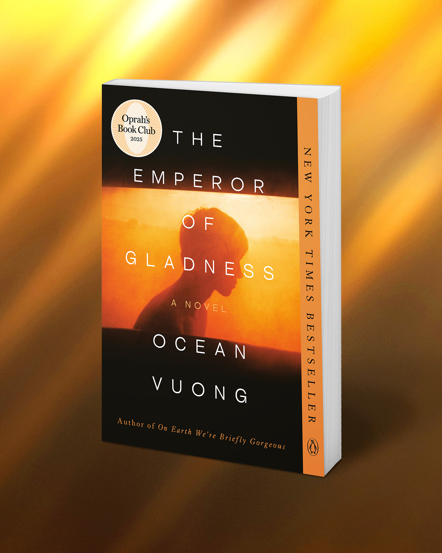 Penguin Press Facebook ad: Now in paperback