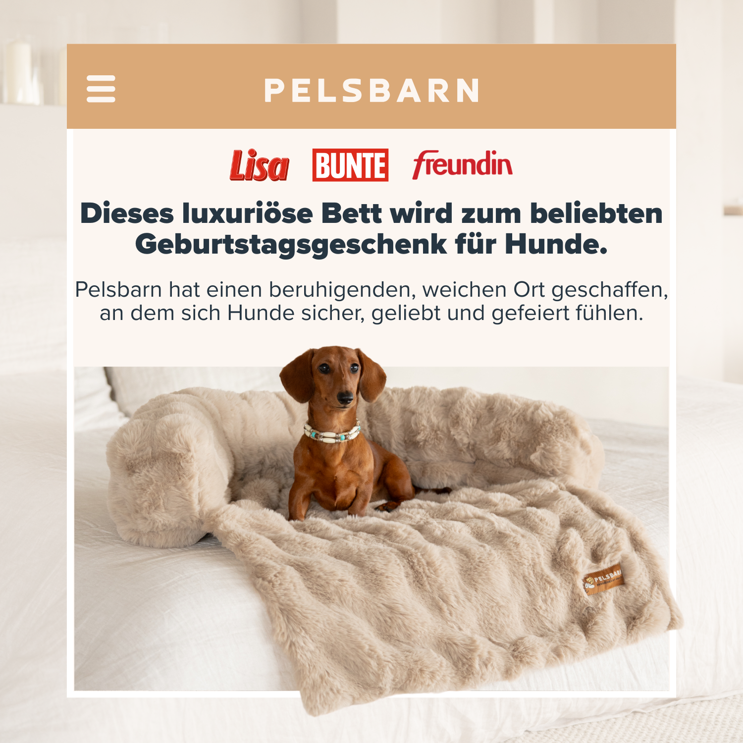 Pelsbarn.de Facebook ad: Mit jedem Kauf unterstützt du einen Tierheimhund.