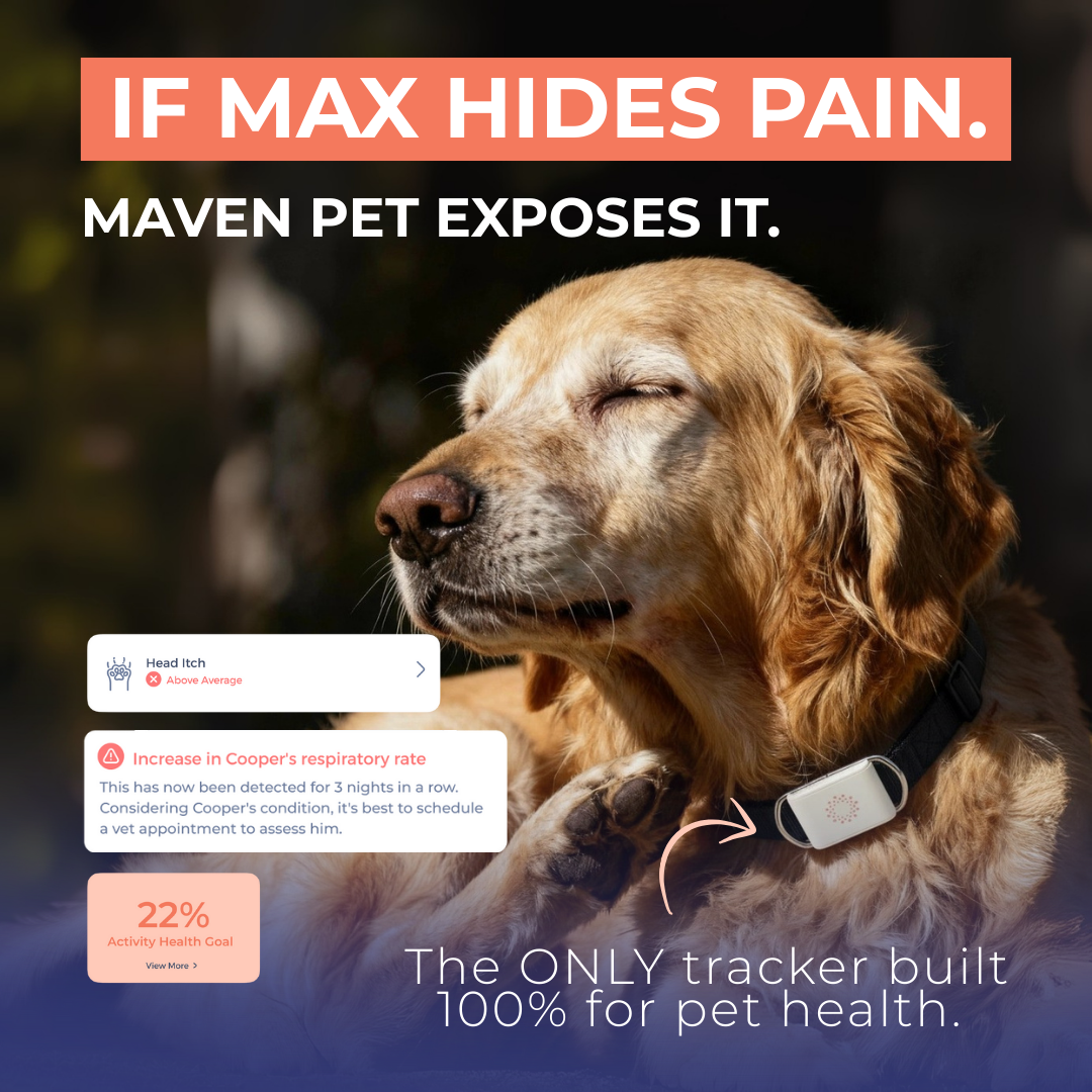 Maven Pet Facebook ad