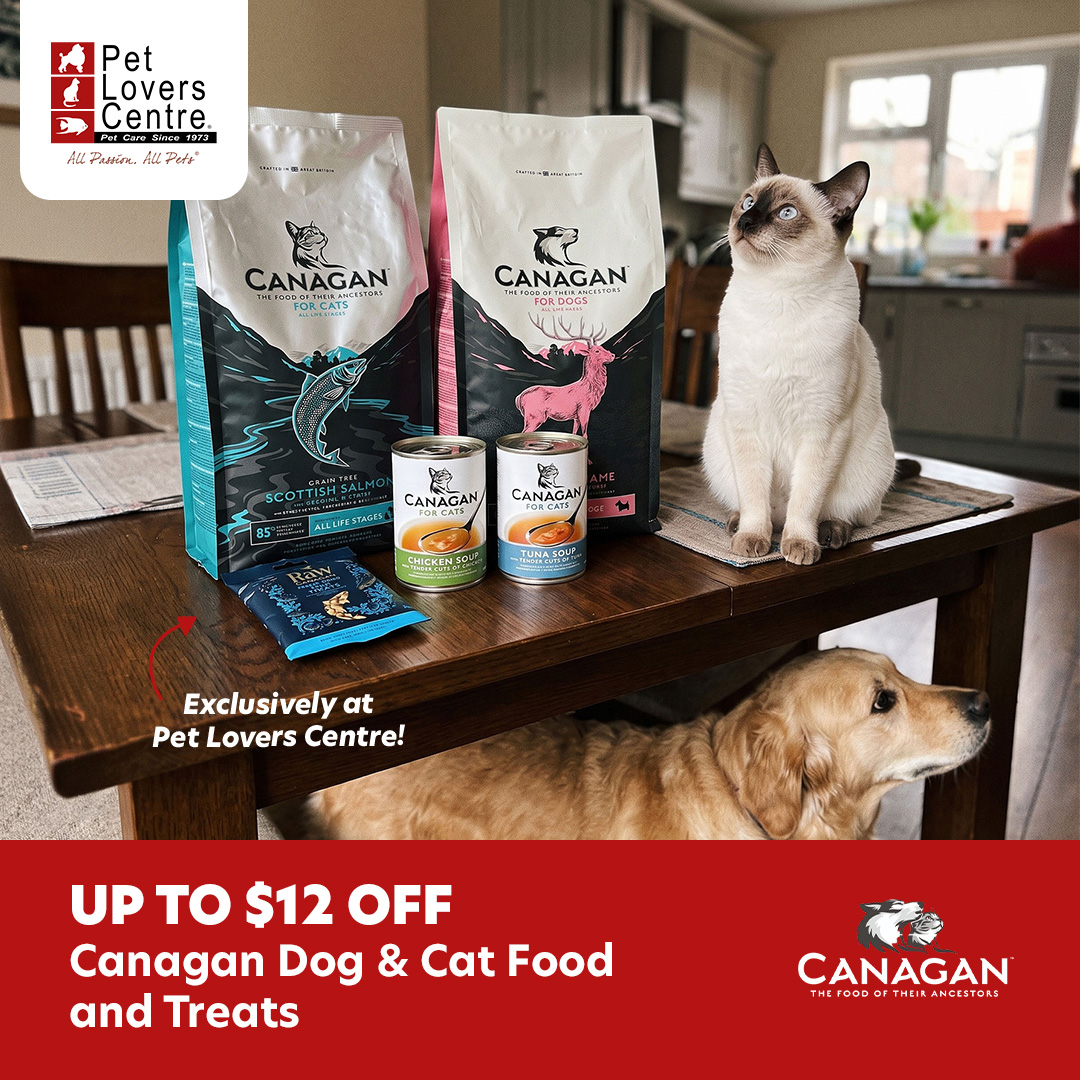 Pet Lovers Centre Singapore Facebook ad