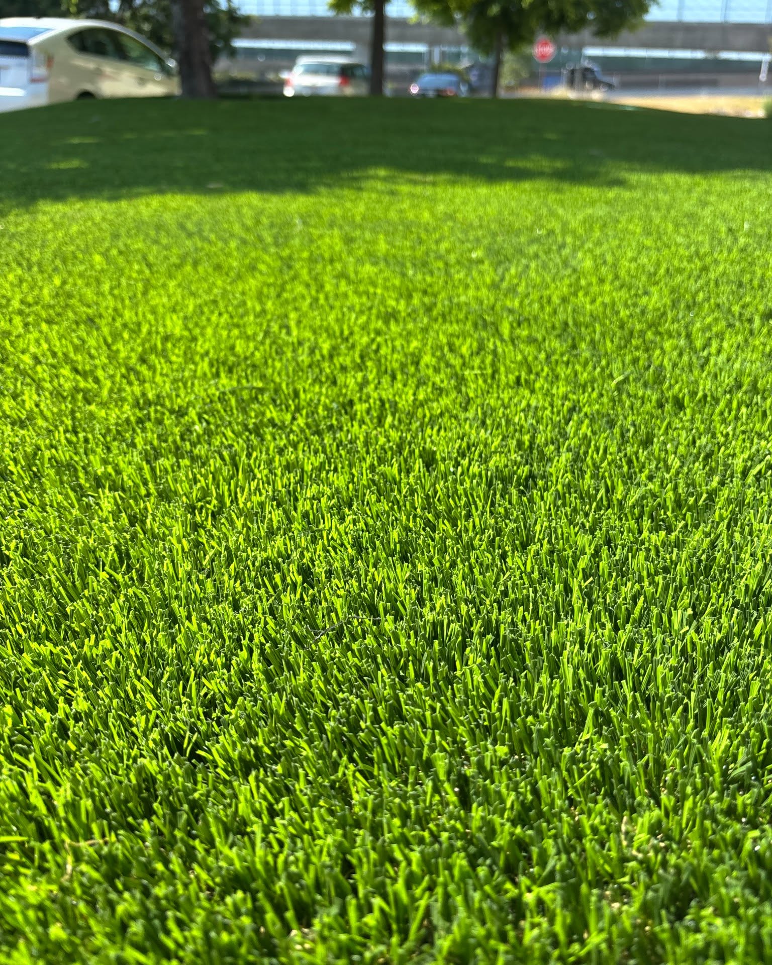 Ibarra Gerardo Facebook ad: Artificial Turf SALE! Available SAME DAY