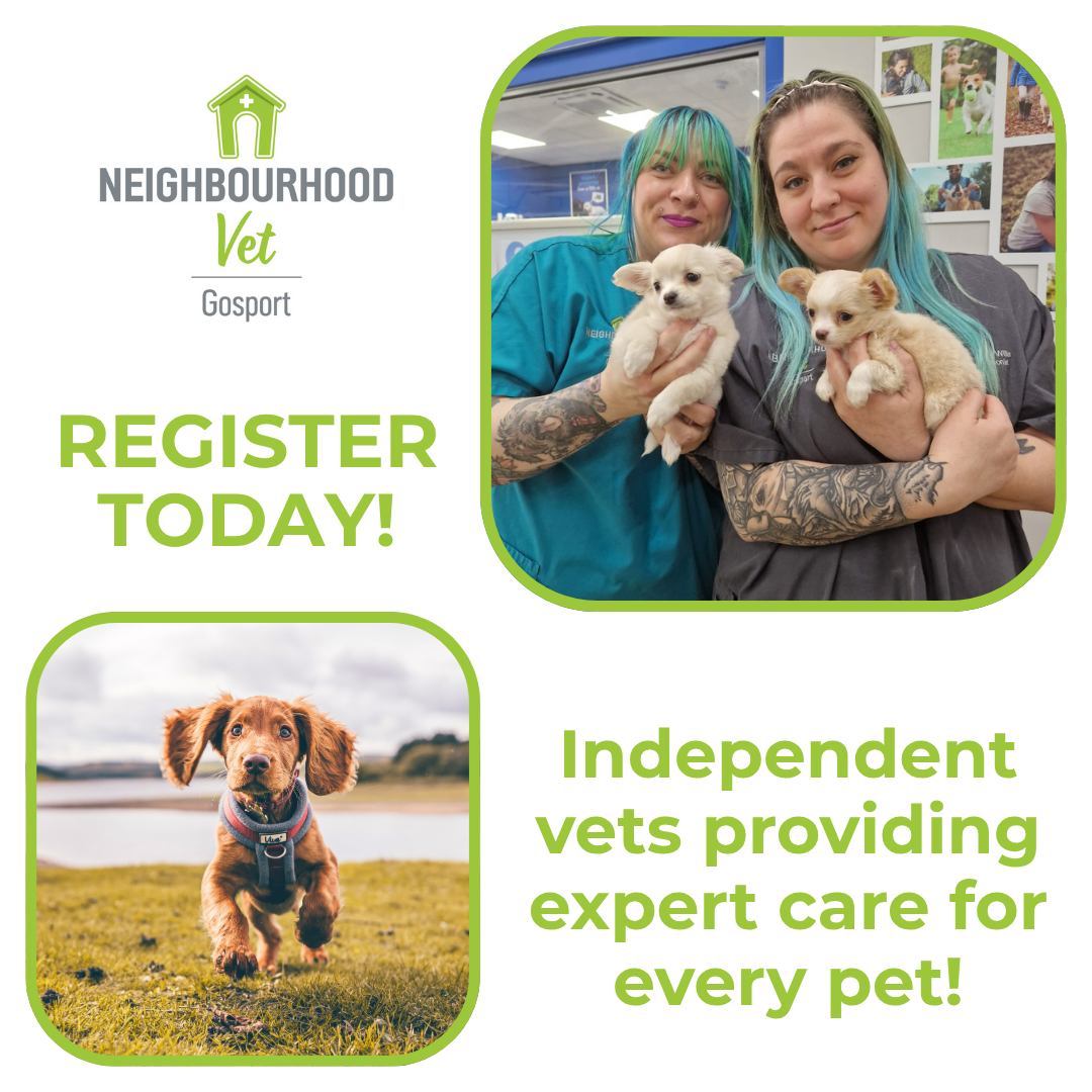 Neighbourhood Vet Gosport Facebook ad