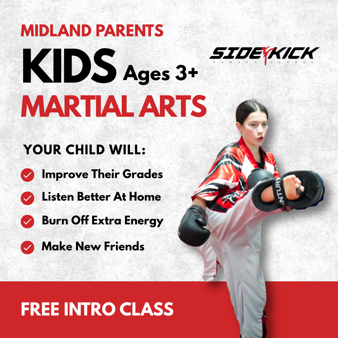 Sidekick Karate School USA Facebook ad: Kids Martial Arts (Ages 3+) | Free Trial Pass