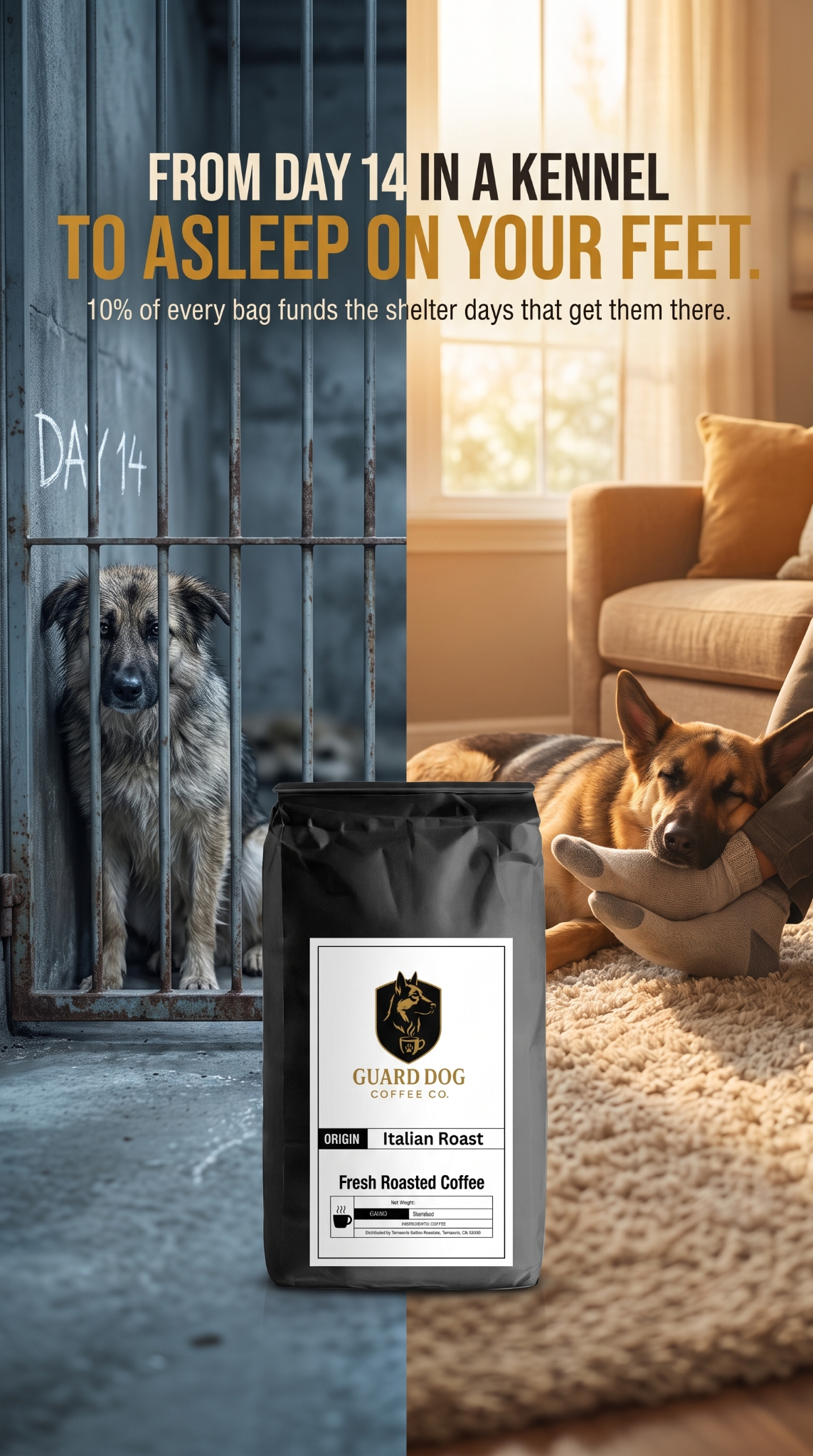 Guard Dog Coffee Co. Facebook ad