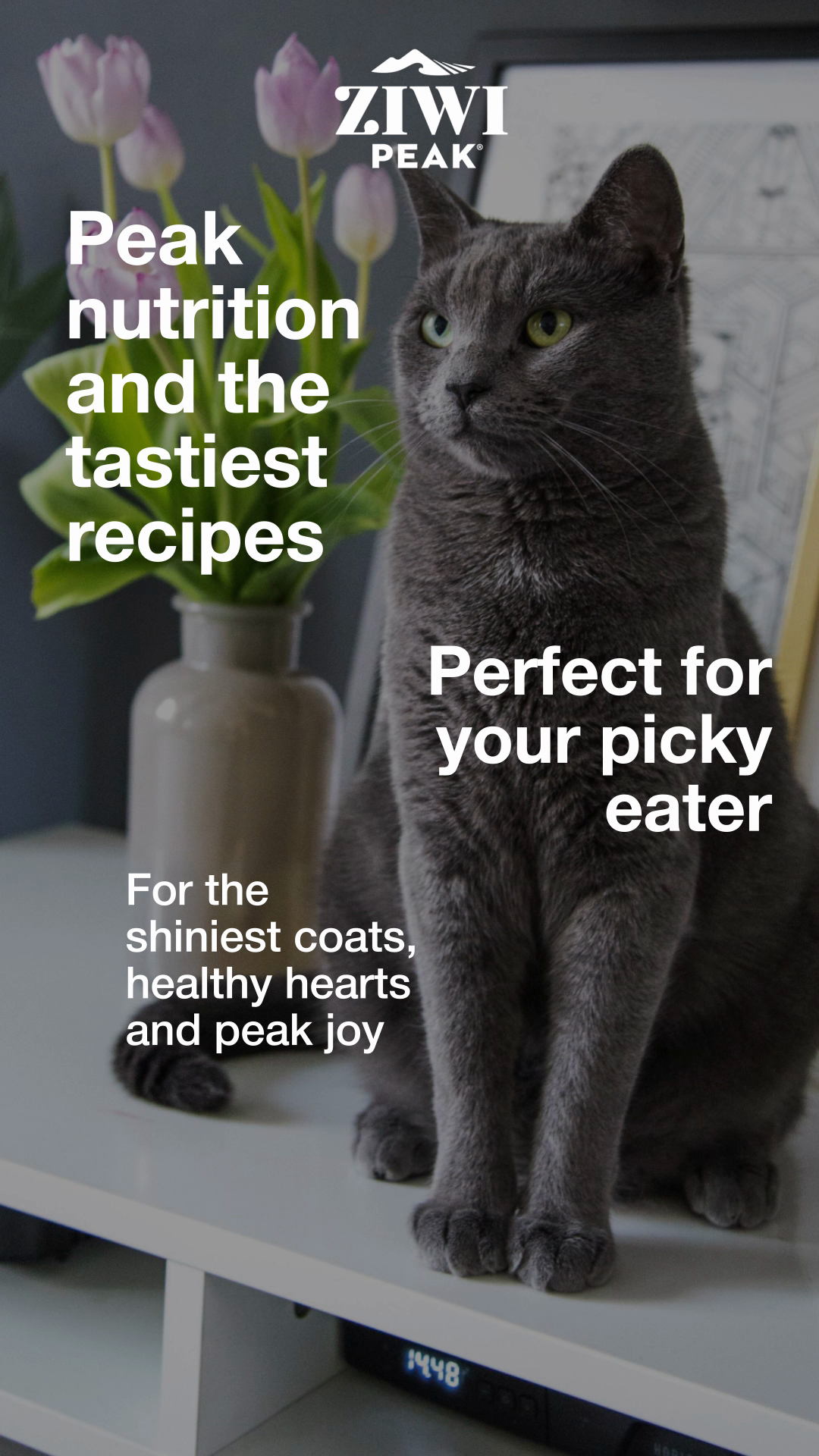 ZIWI Pets Facebook ad from May 11, 2026