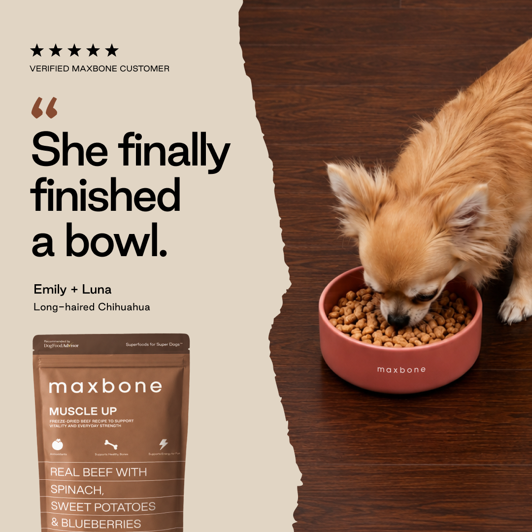 Maxbone Facebook ad