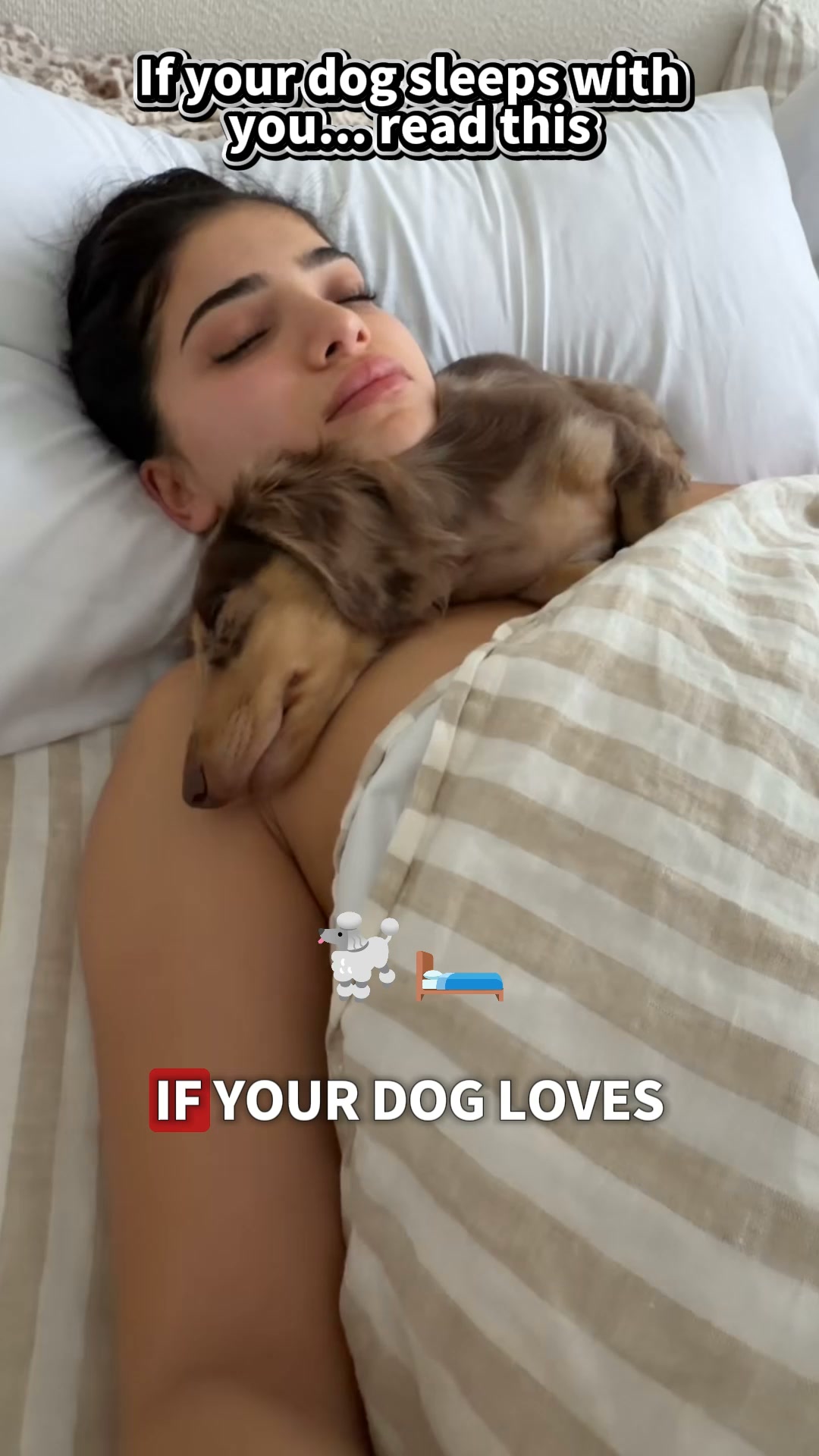 Puainta Pets Facebook ad: Simple Support for Skin Comfort