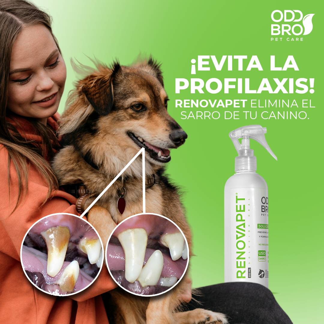 PetyPup Facebook ad