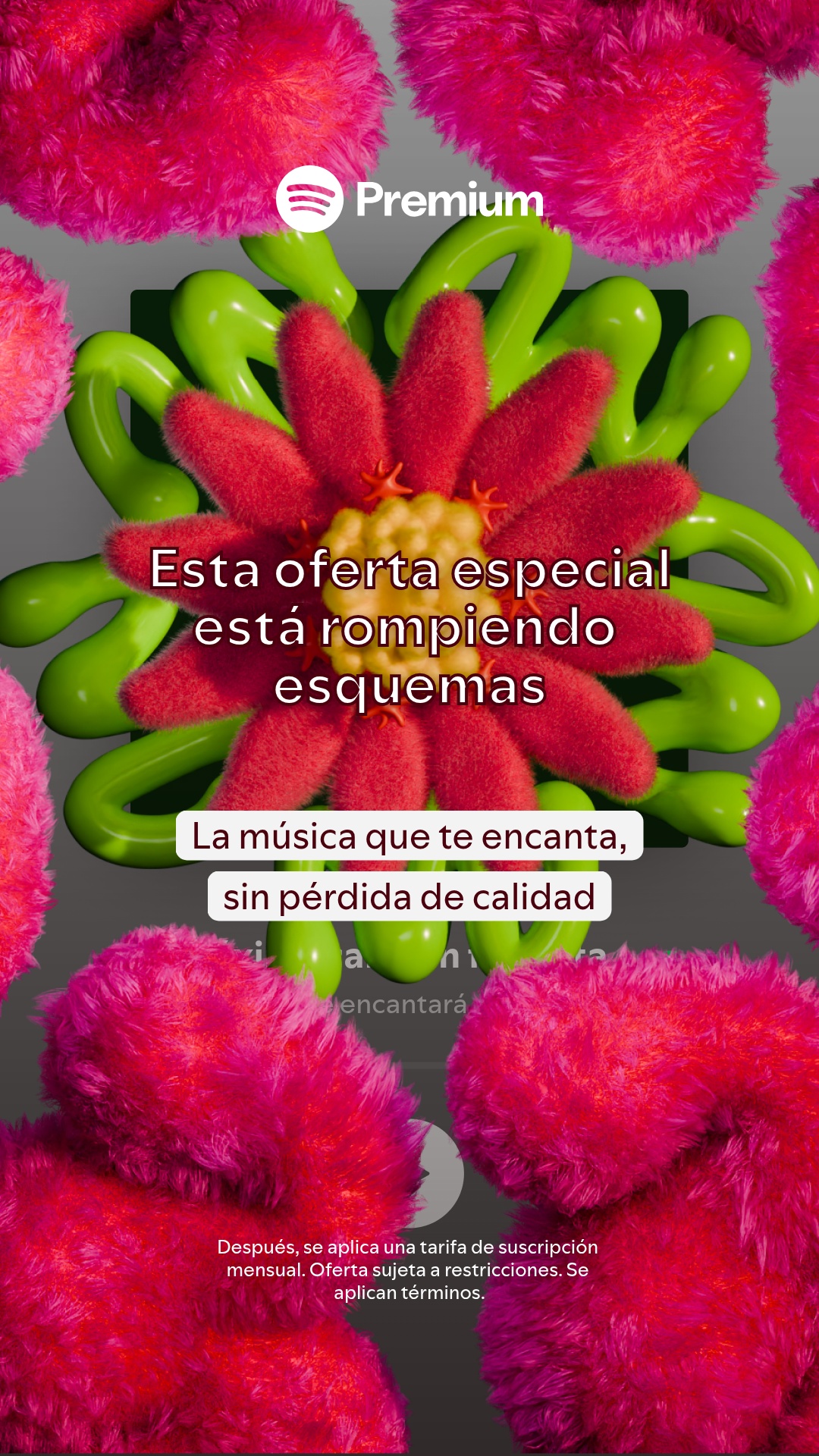 Spotify Facebook ad: No te pierdas esta oferta especial