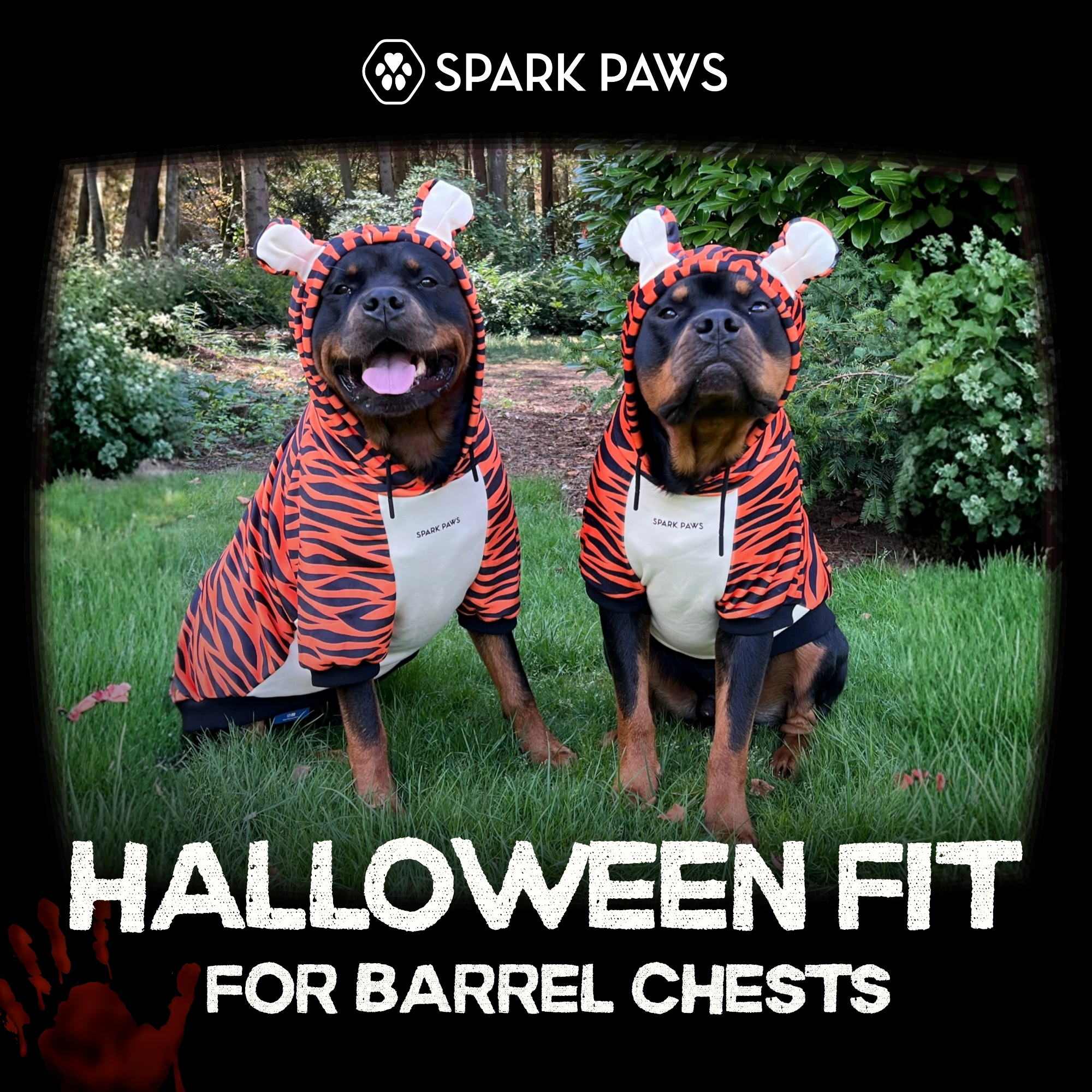 Spark Paws Facebook ad