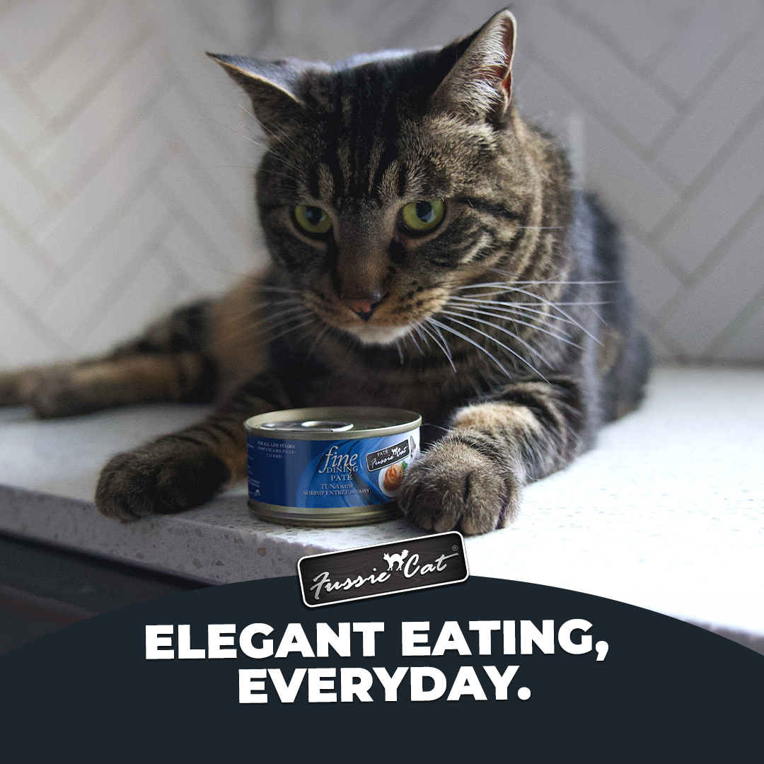 Petco Facebook ad