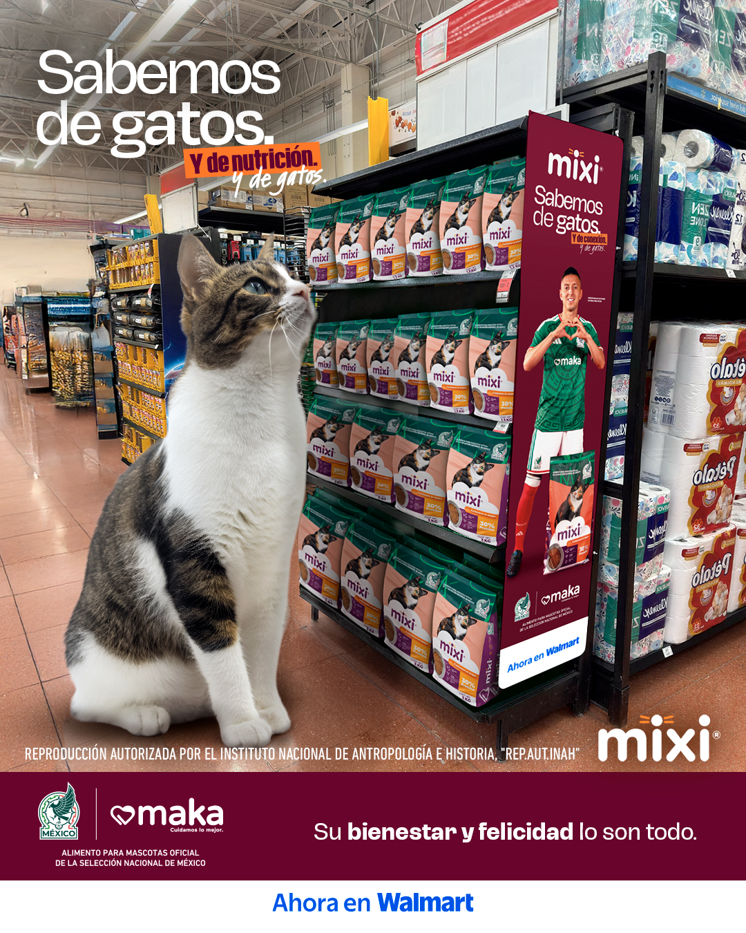 Mixi Facebook ad