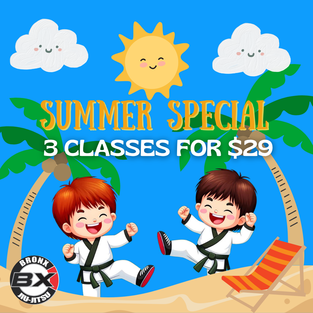 Bronx Jiu-Jitsu Facebook ad: Don’t Wait! 3 BJJ Classes for $29-Limited Spots!