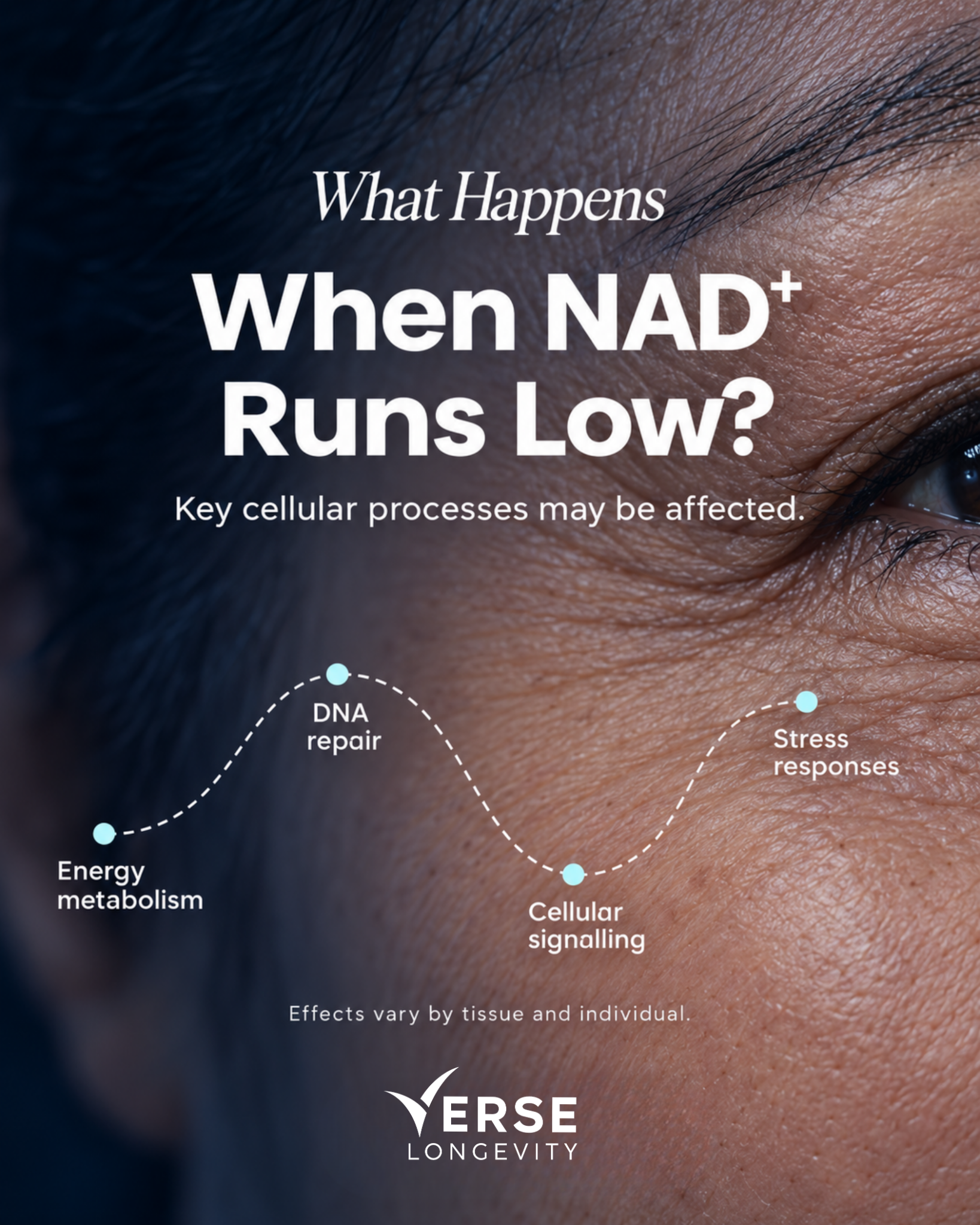 Verse Clinic Facebook ad: Discover what NAD+ actually does inside your cells.