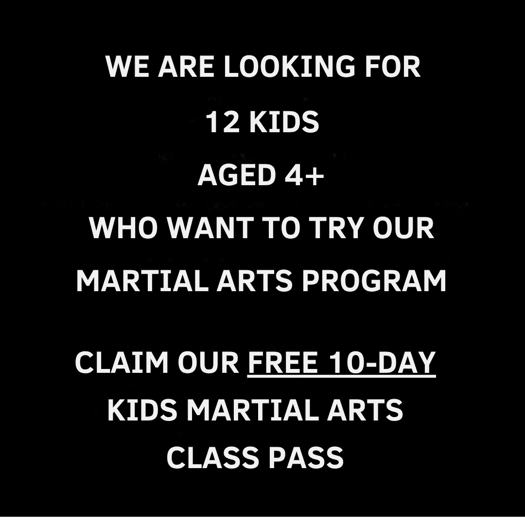 Marietta Kids Karate Facebook ad: Want a FREE 10-Day, Kids Martial Arts Class Pass?