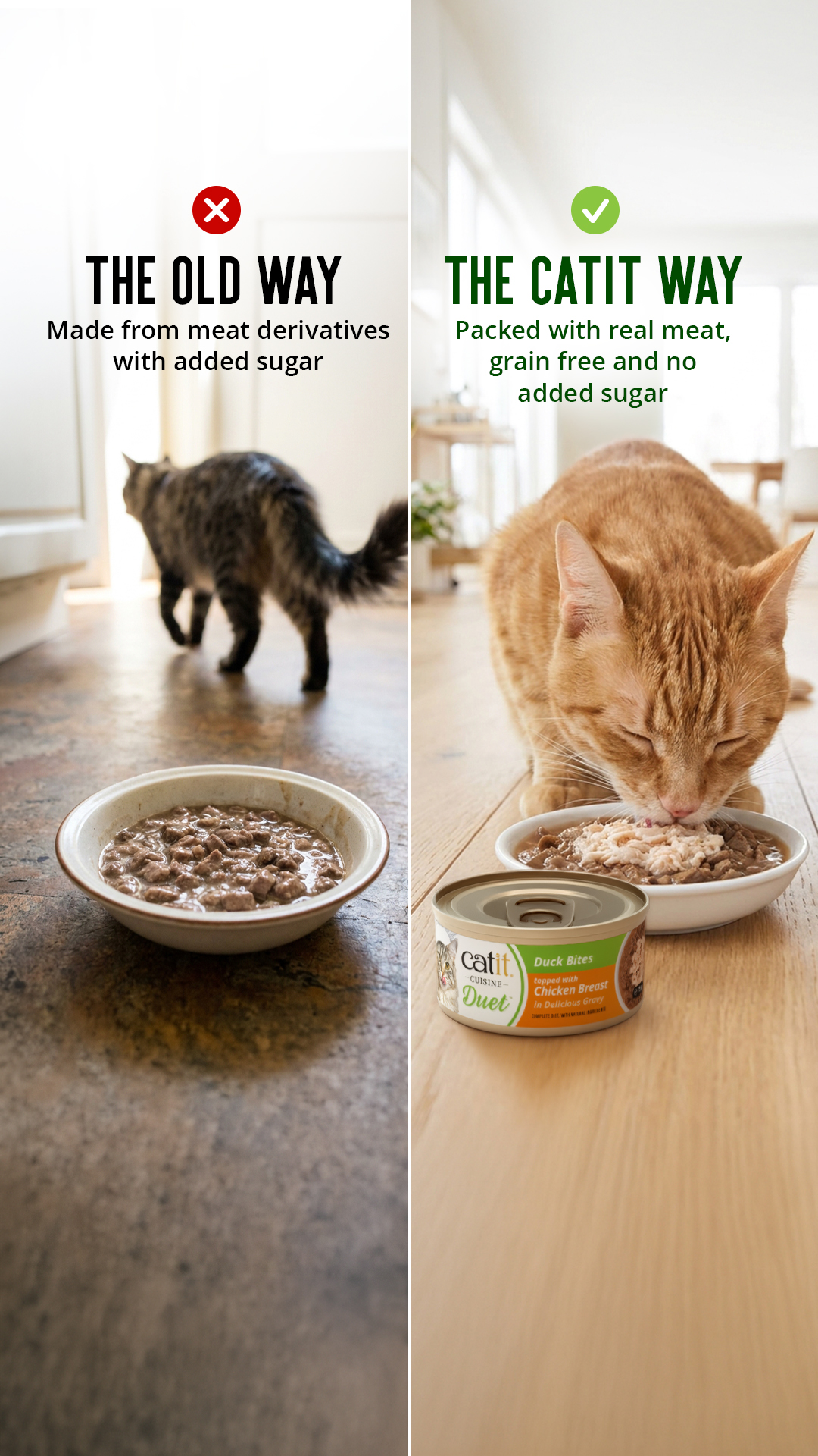 Catit UK Facebook ad