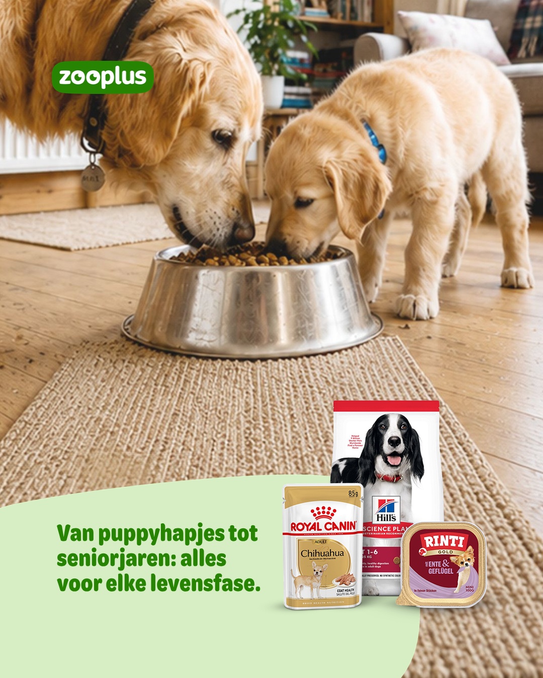 zooplus Facebook ad