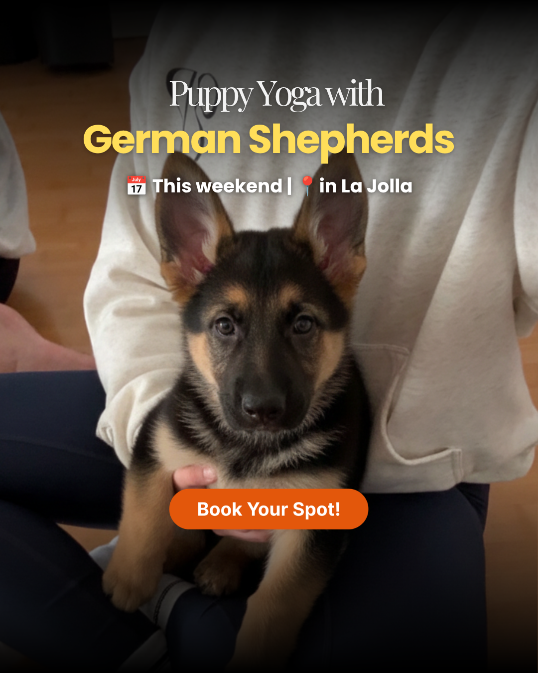 Puppy Yoga Club Facebook ad