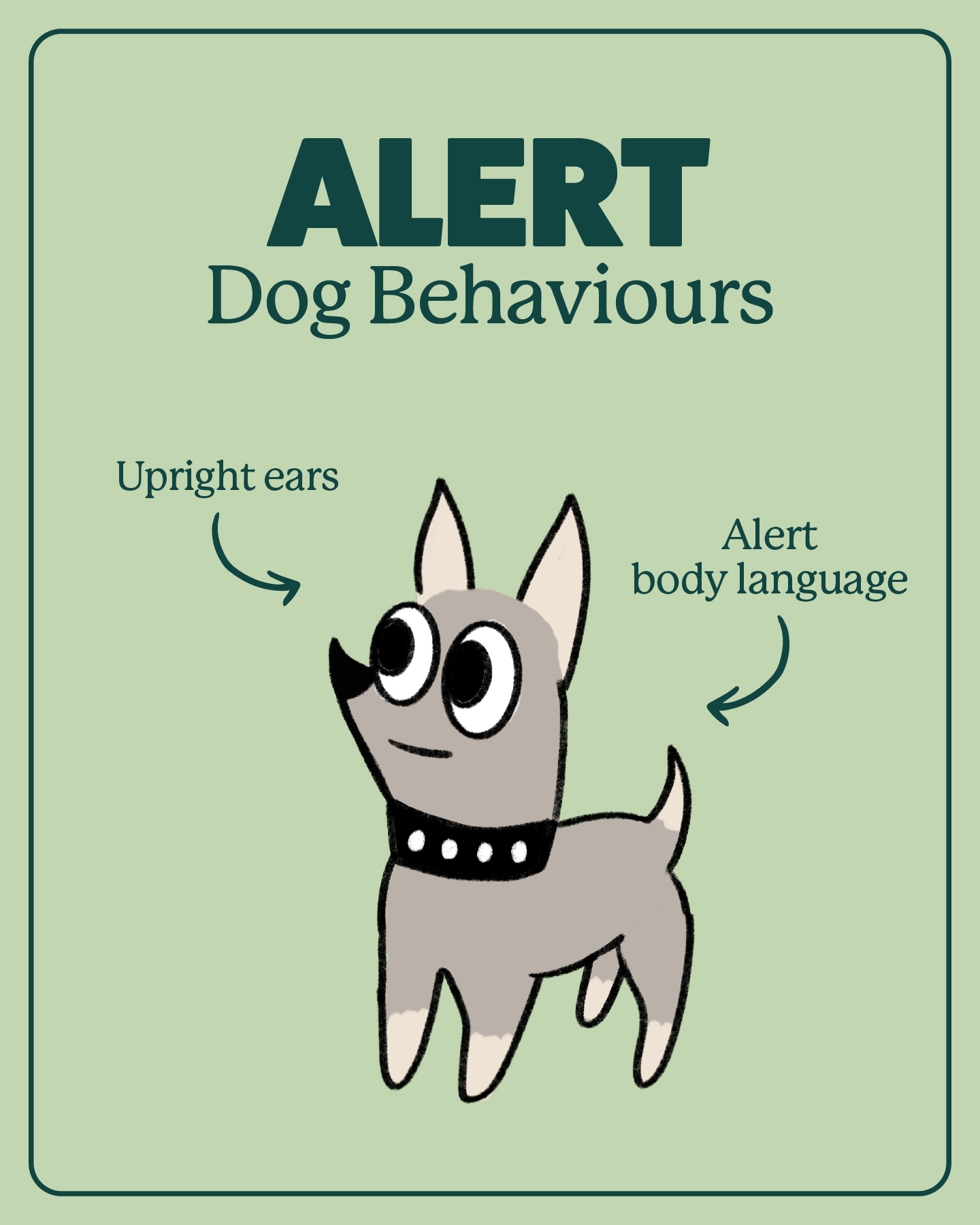 Good Dog SA Facebook ad: Most dogs are really friendly, but sometimes if…