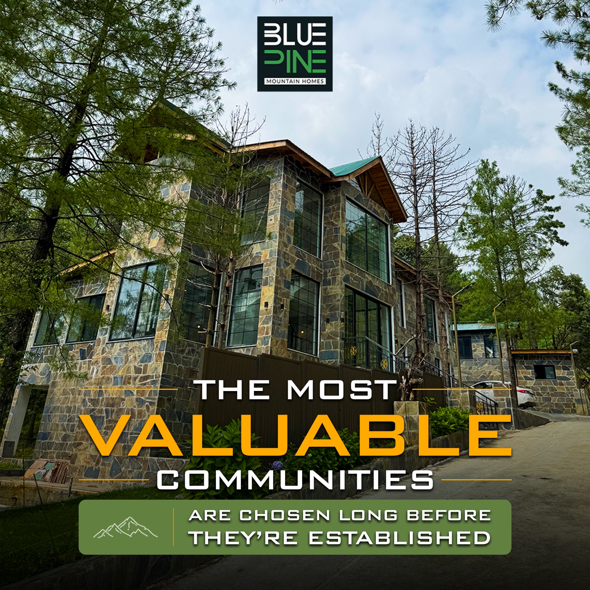 Blue Pine Mountain Homes Facebook ad