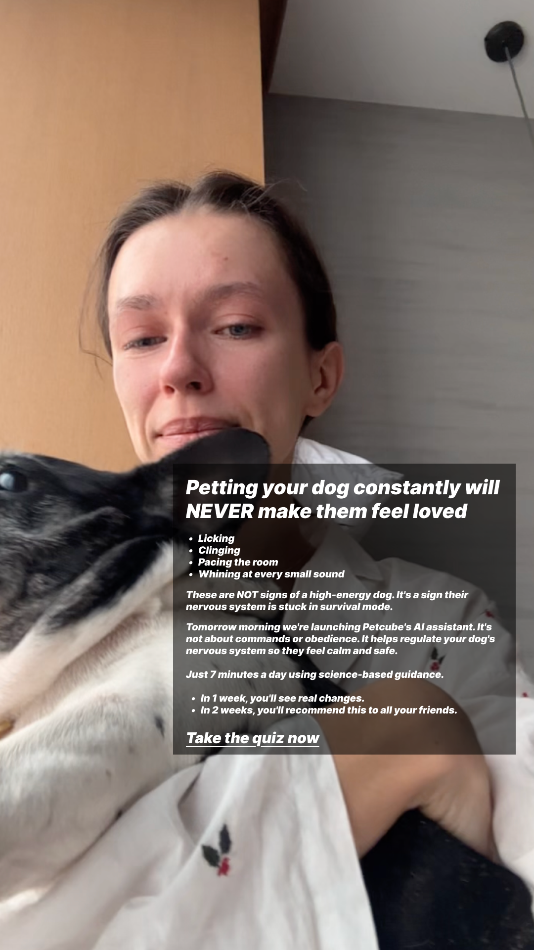 Petcube Facebook ad