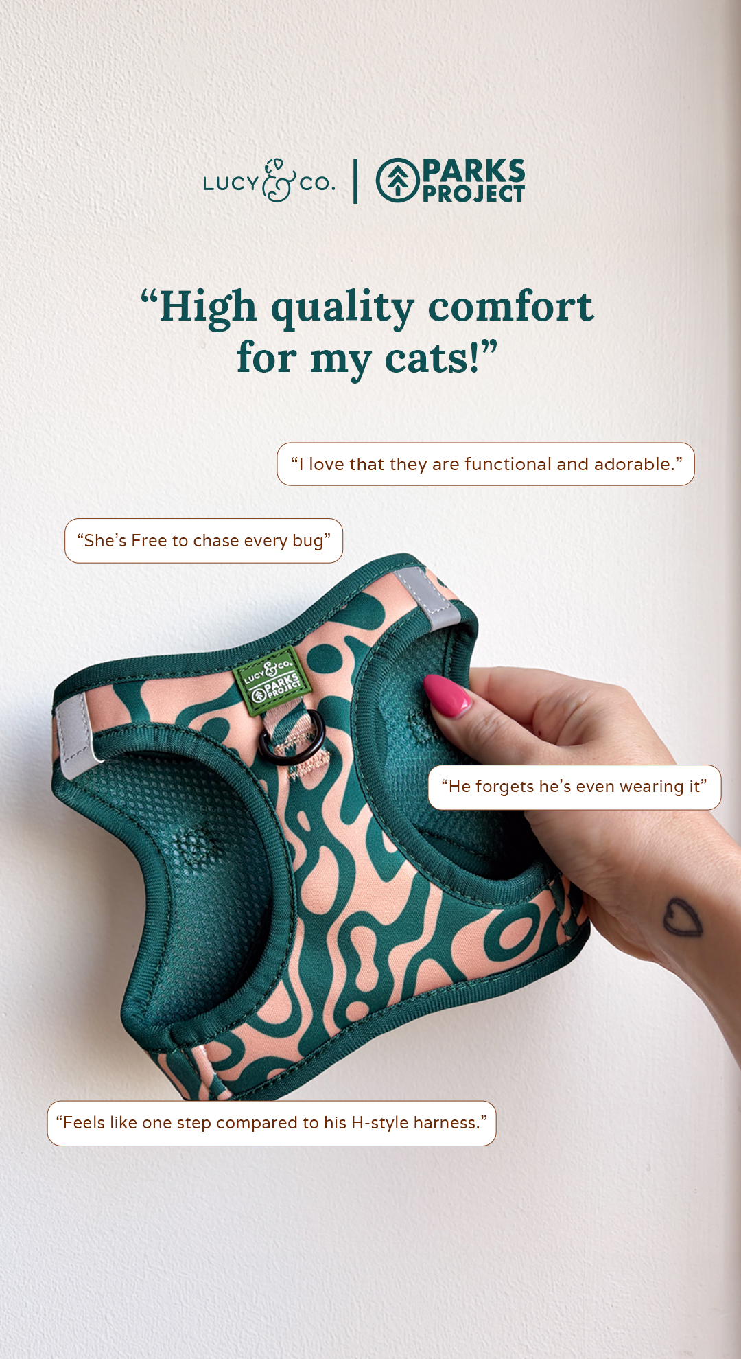 Lucy & Co. Facebook ad: Cat Parents Rate This 10/10