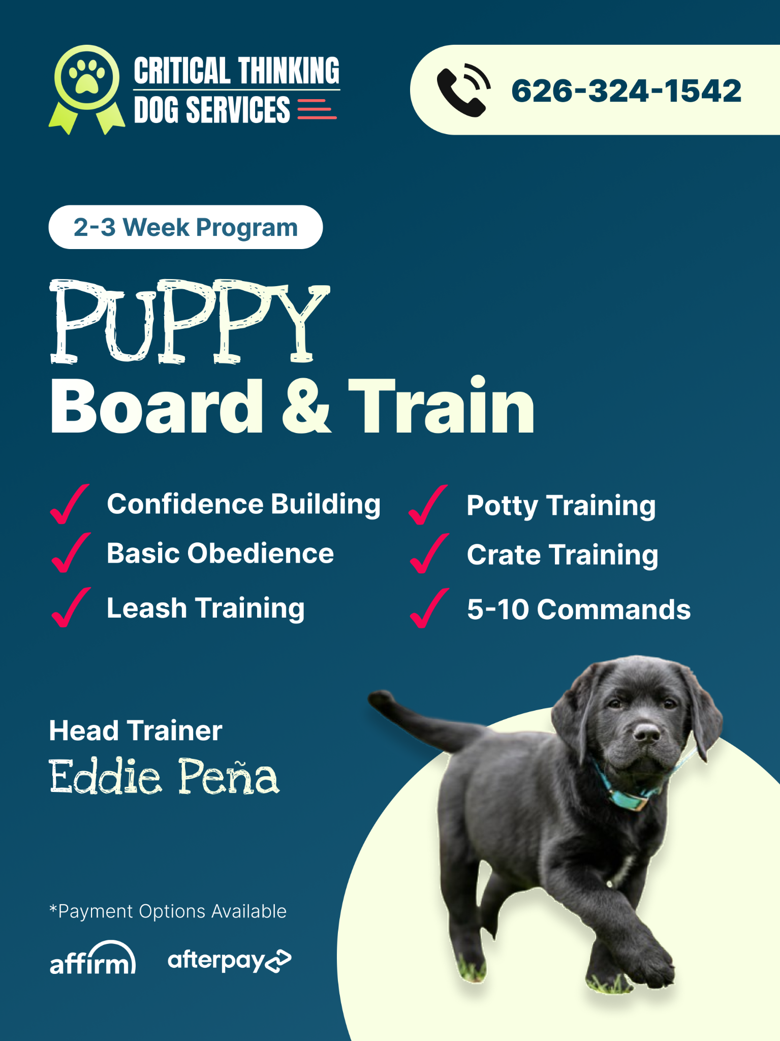 Critical Thinking Dog Services Facebook ad: Puppy Training Made Easy, Enroll Today!