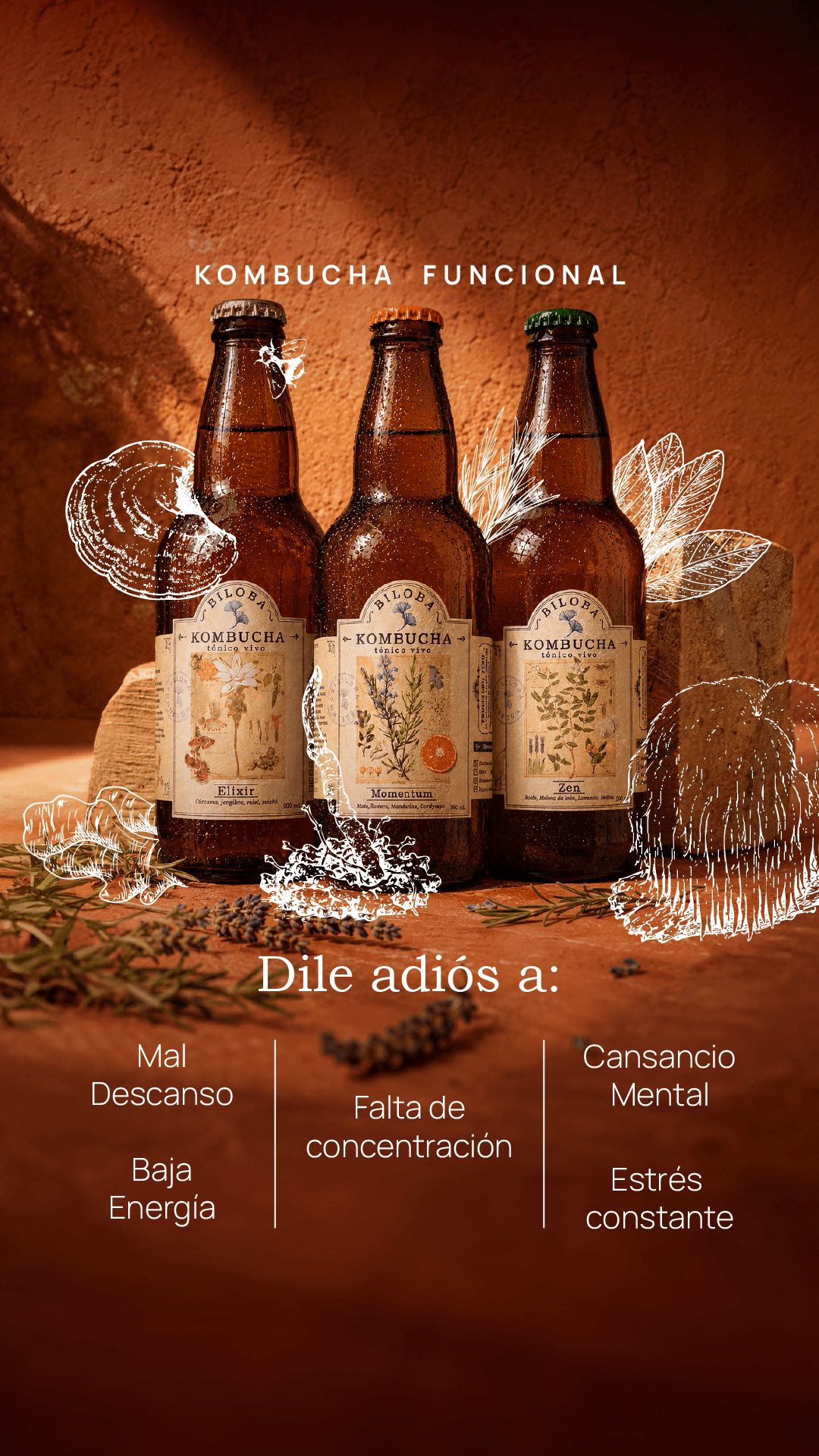 Kombucha Biloba Facebook ad: Quiero probar!