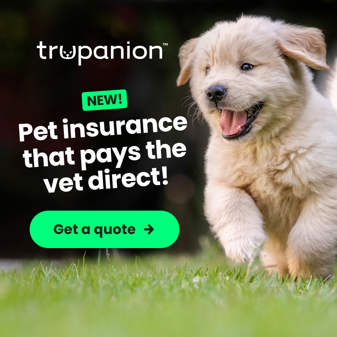 Wag Facebook ad