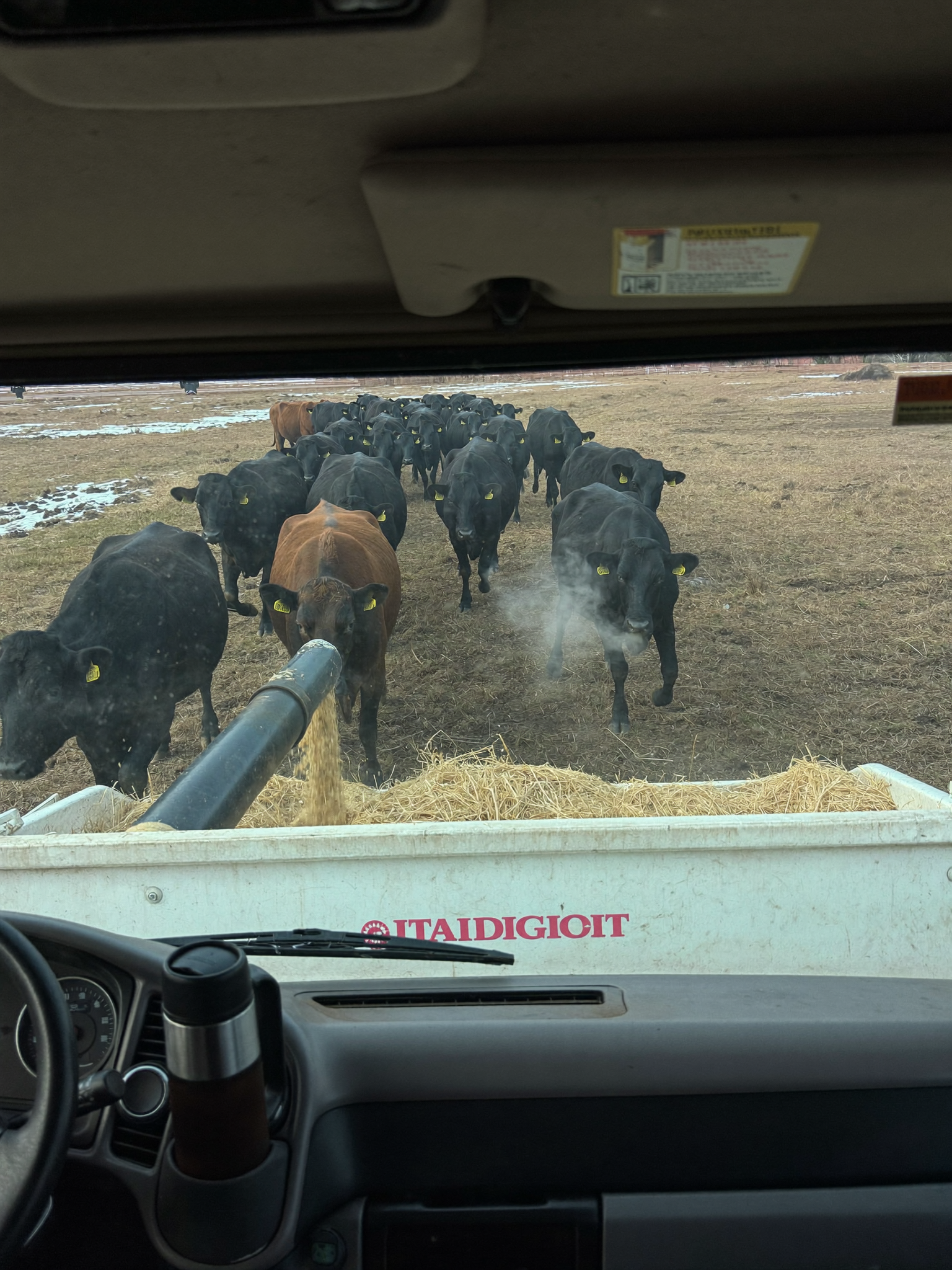 Luke Harris Facebook ad: This tool would have saved eleven calves