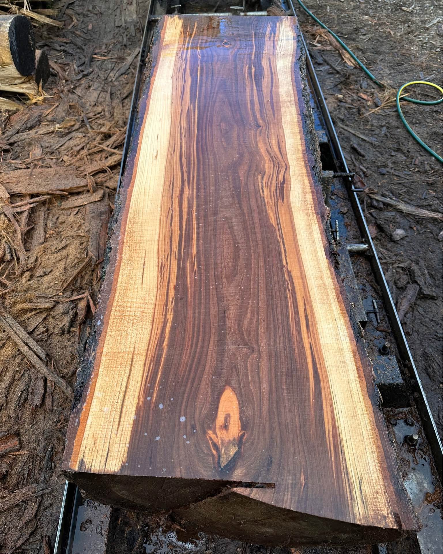 Lenny Theuma Facebook ad: Salvaged English Elm Timber Slabs live edge