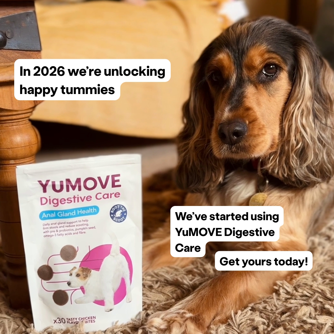 YuMOVE UK Facebook ad