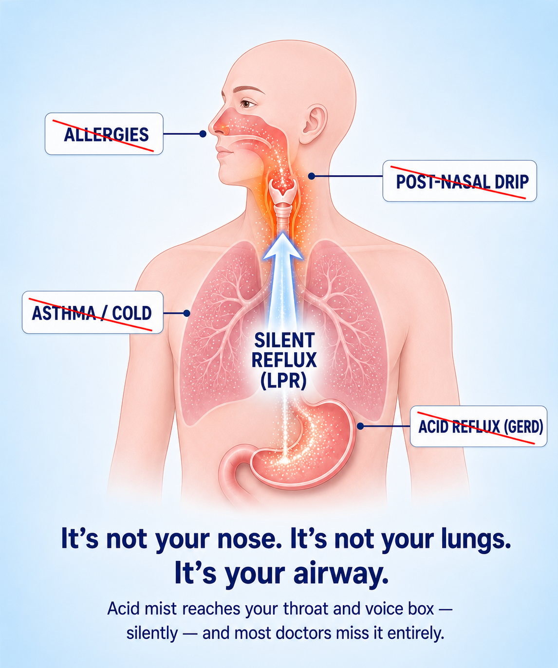 The Gut Lining Lab Facebook ad