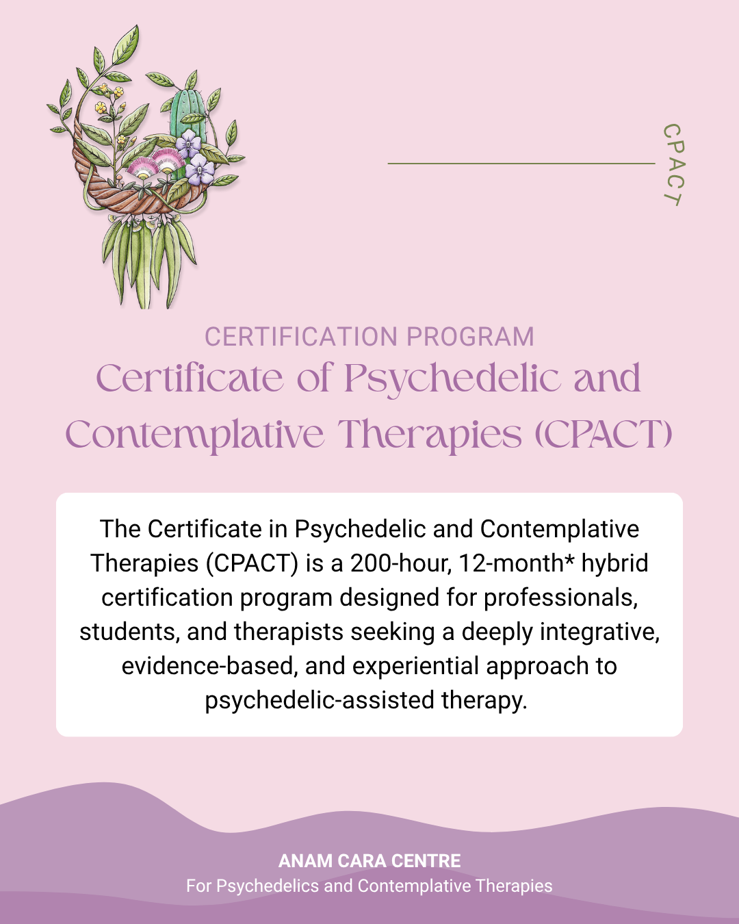 Anam Cara Centre for Psychedelics and Contemplative Therapies  Facebook ad