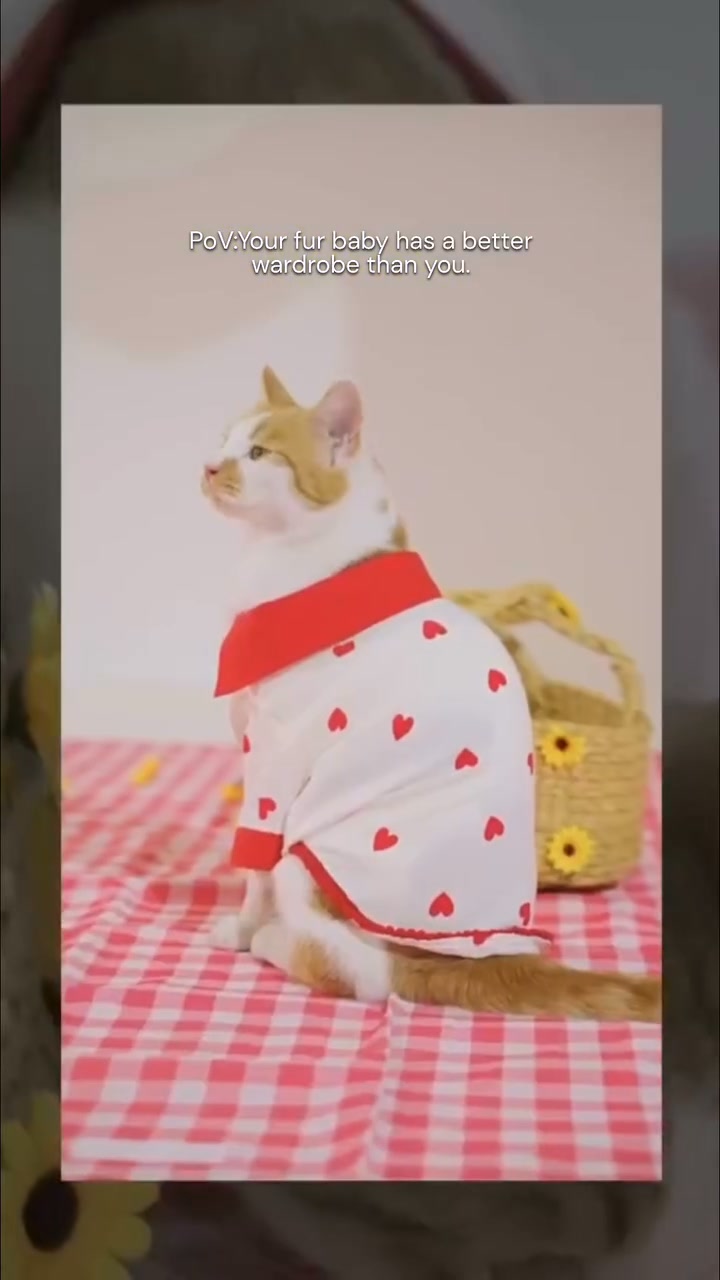 The Pawsh Co. Facebook ad: Tiny paws. Big personality.