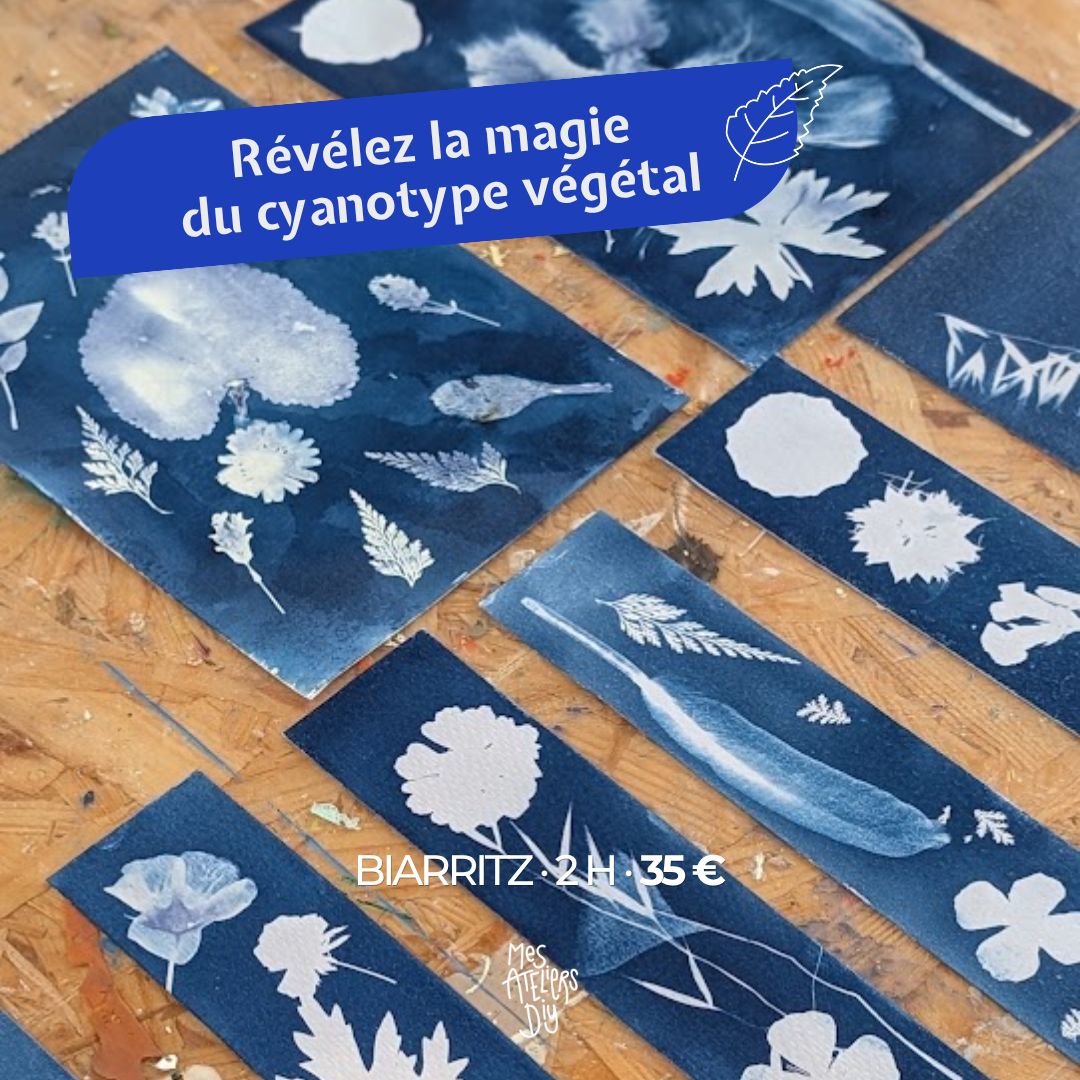 Mes Ateliers DIY Facebook ad: Réservez votre atelier cyanotype