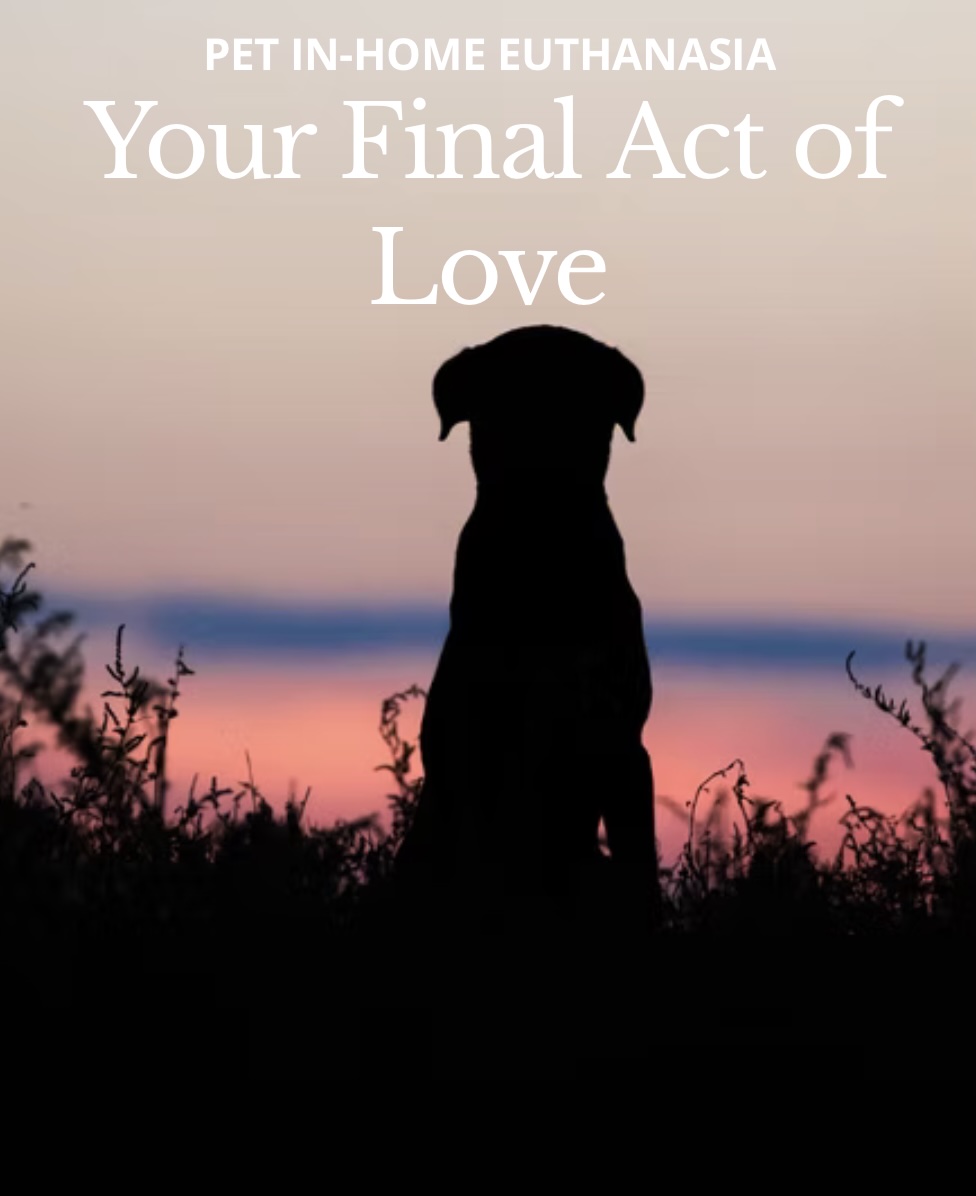 Vet At Your Door - Veterinary House Call Services Facebook ad